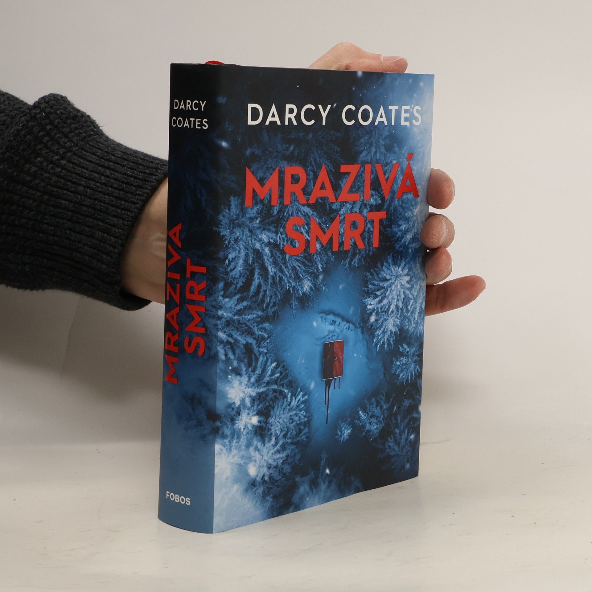 Darcy Coates Mrazivá smrt