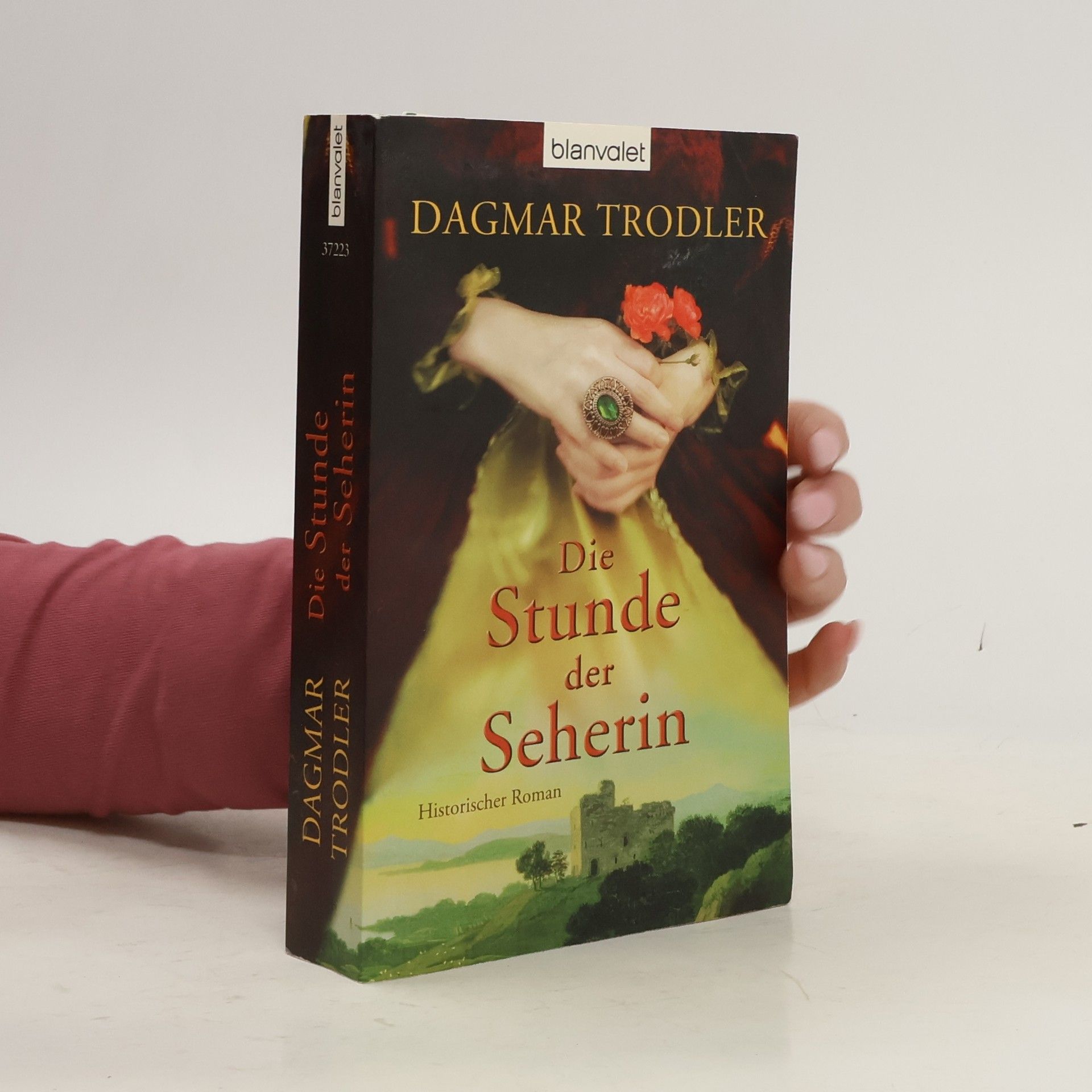 Dagmar Trodler Die Stunde der Seherin