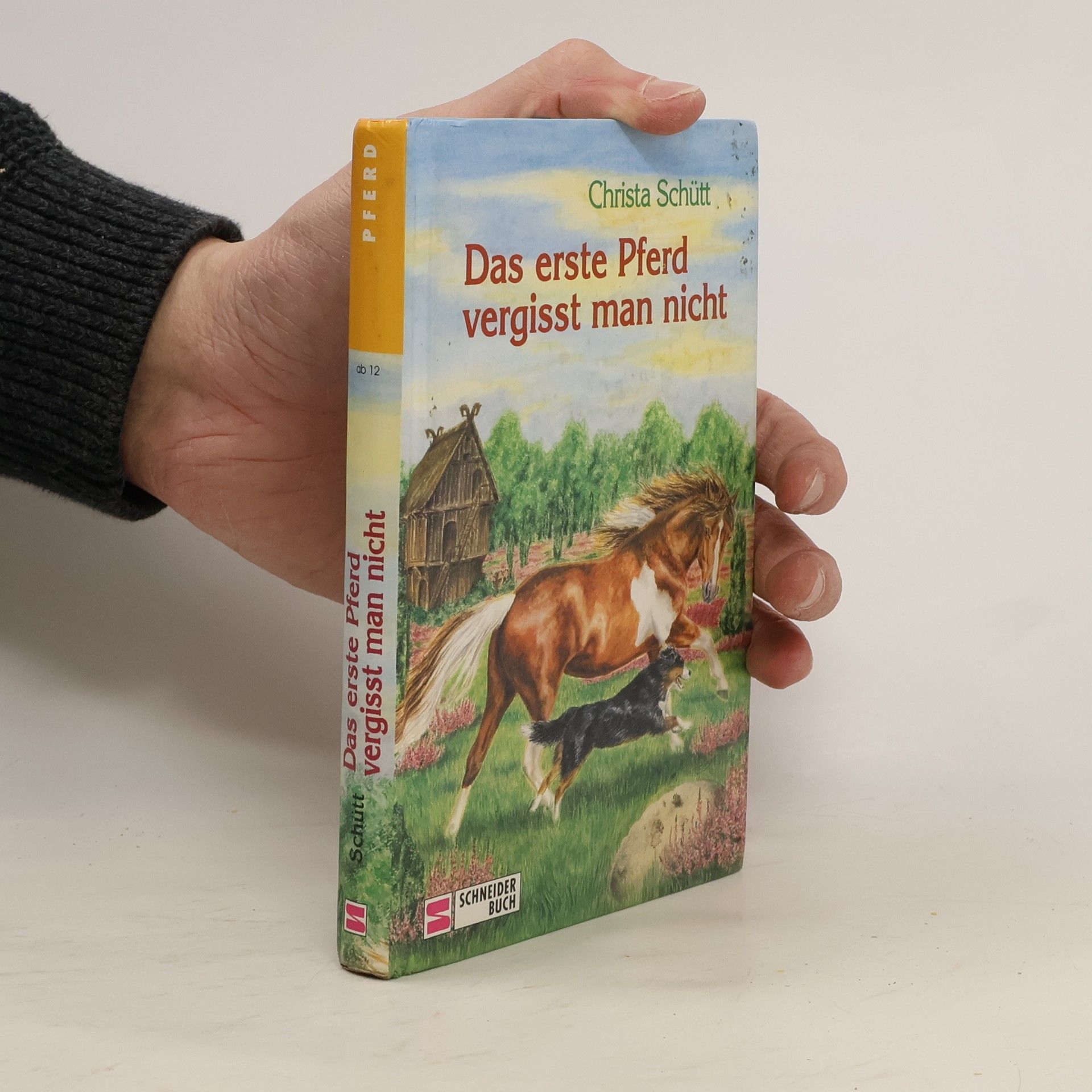 Christa Schütt Das erste Pferd vergisst man nicht