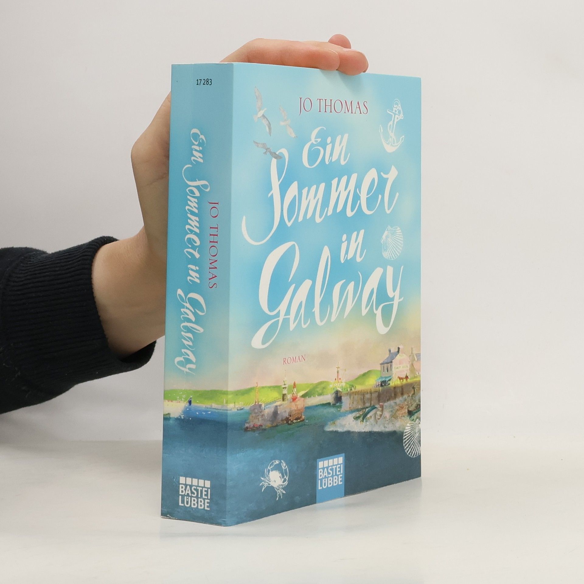 Jo Thomas Ein Sommer in Galway