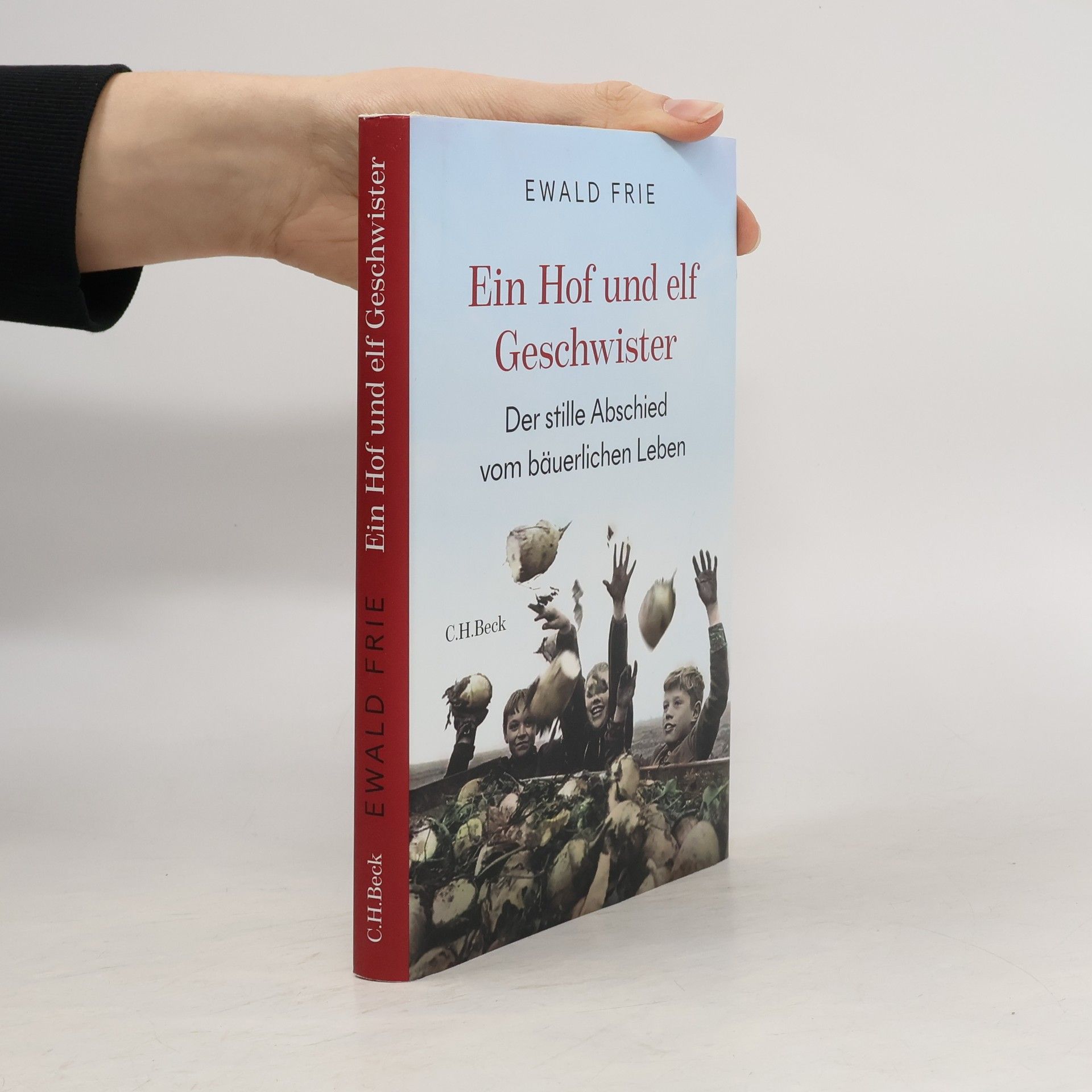 Ewald Frie Ein Hof und elf Geschwister