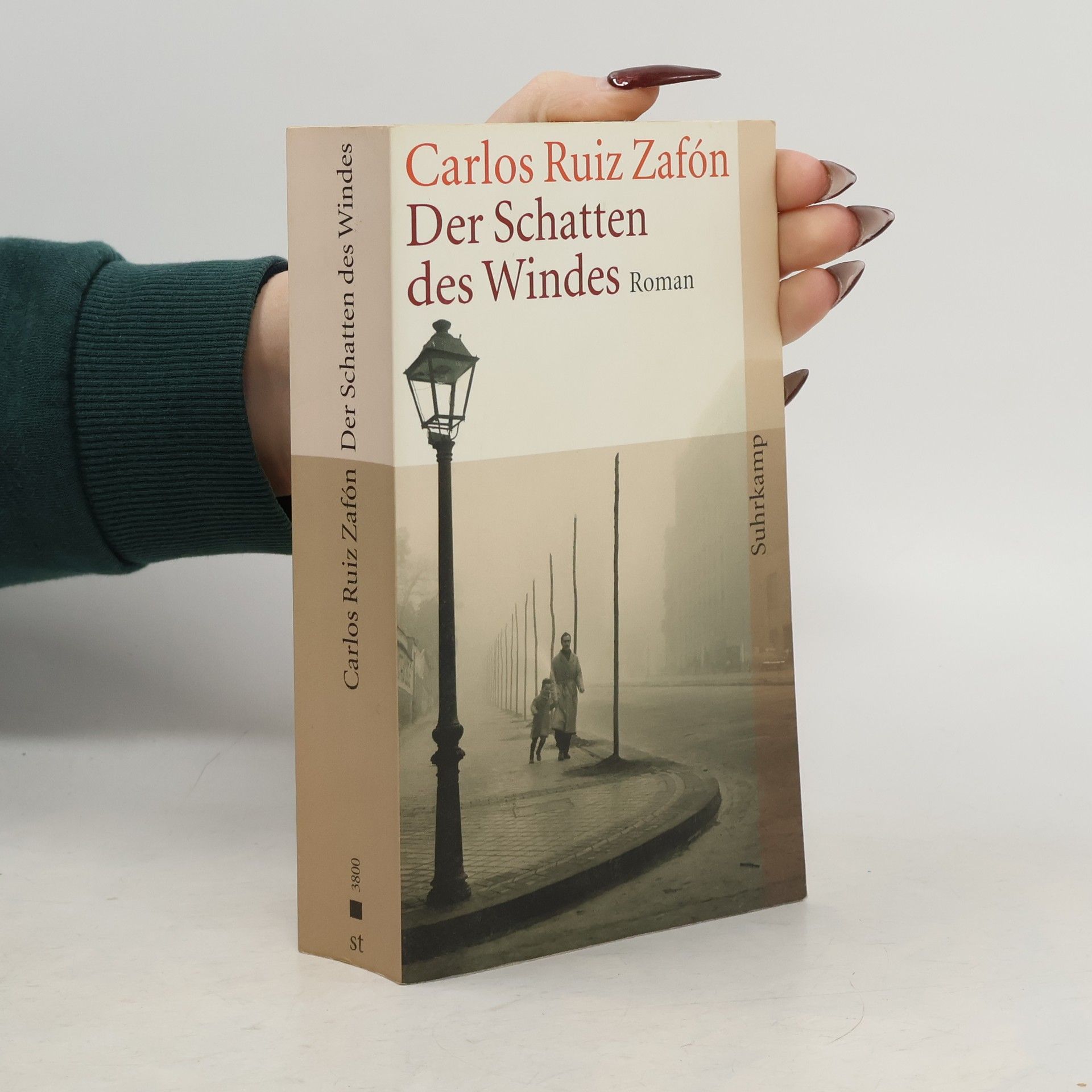 Der Schatten des Windes