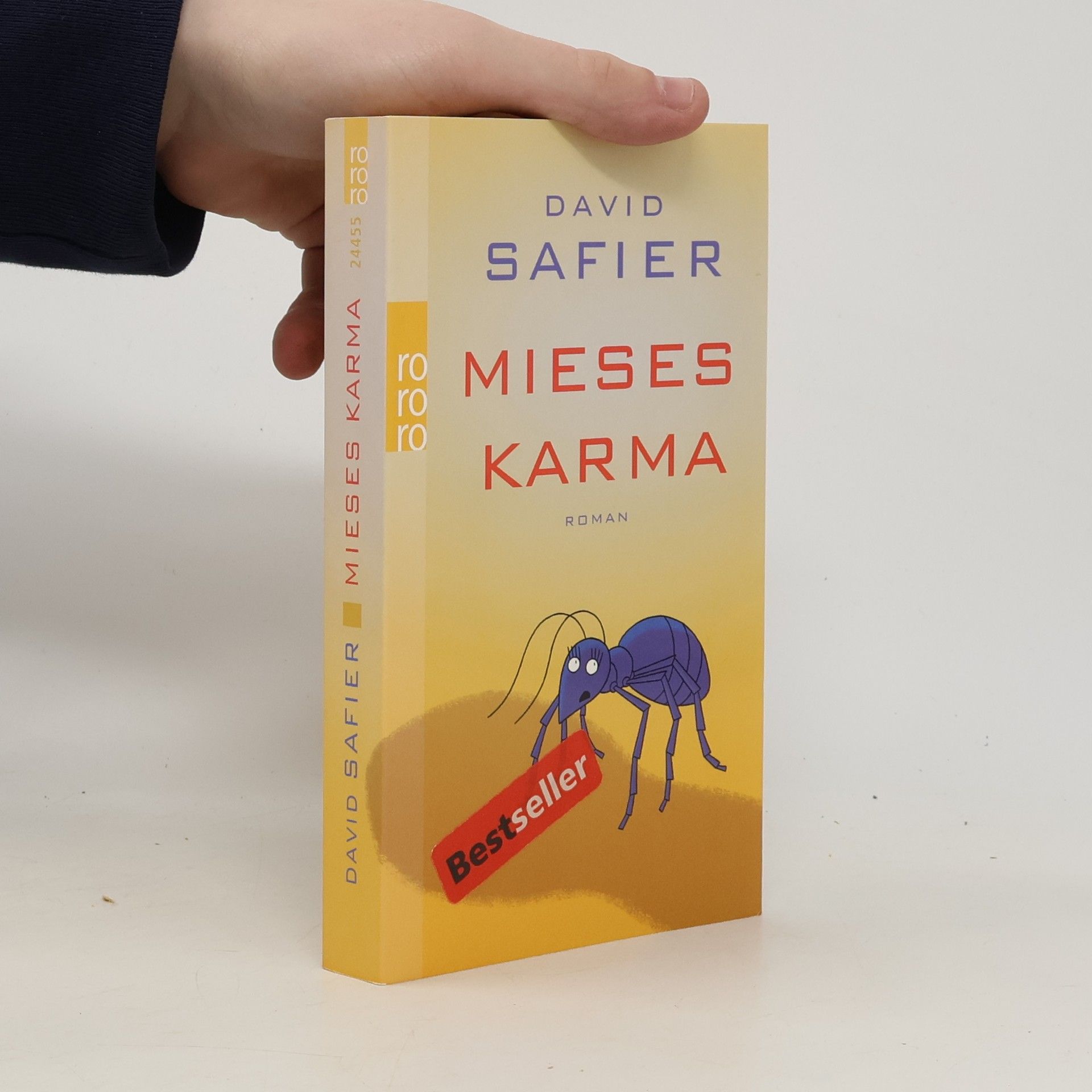 David Safier Mieses Karma