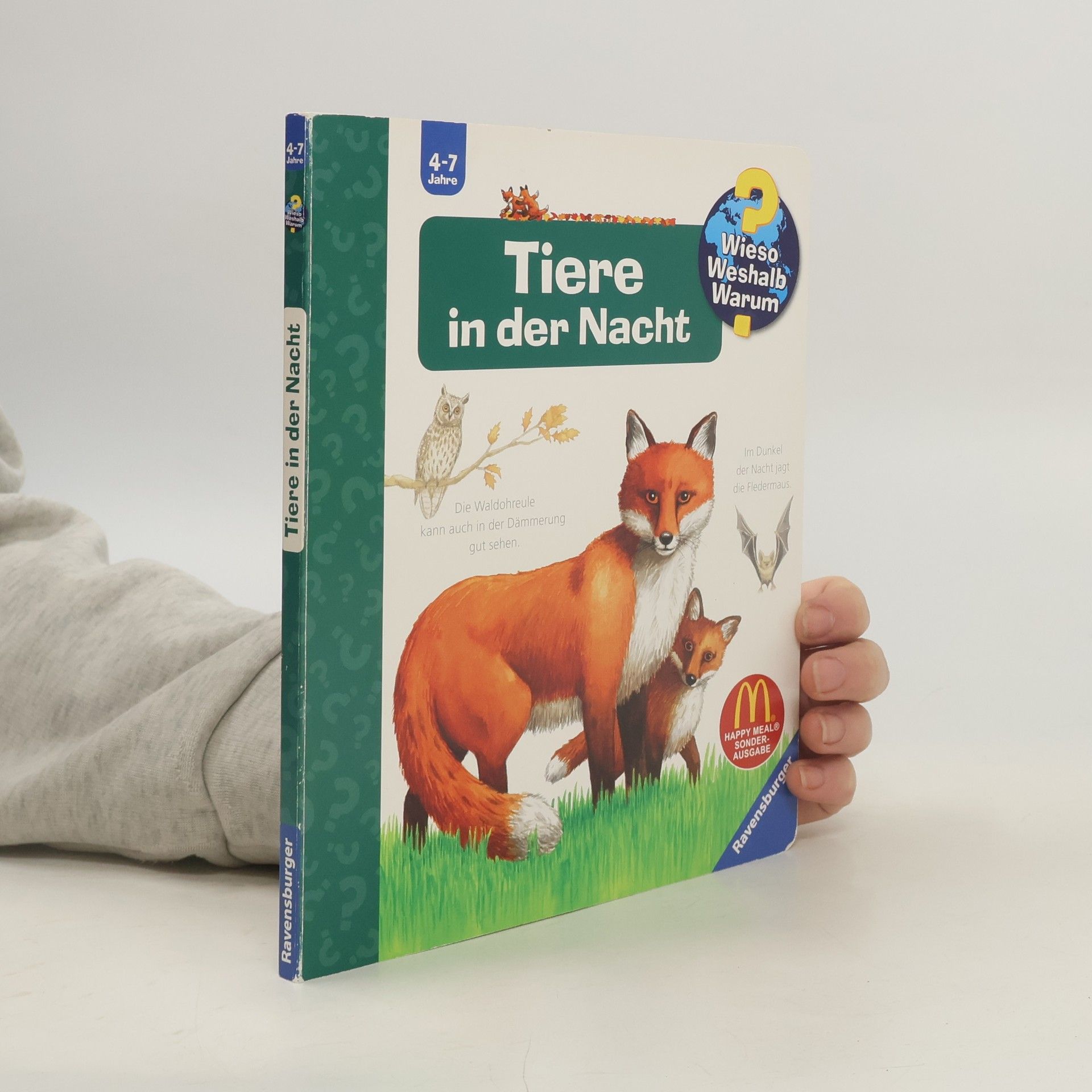 Kolektív autorov Tiere in der Nacht