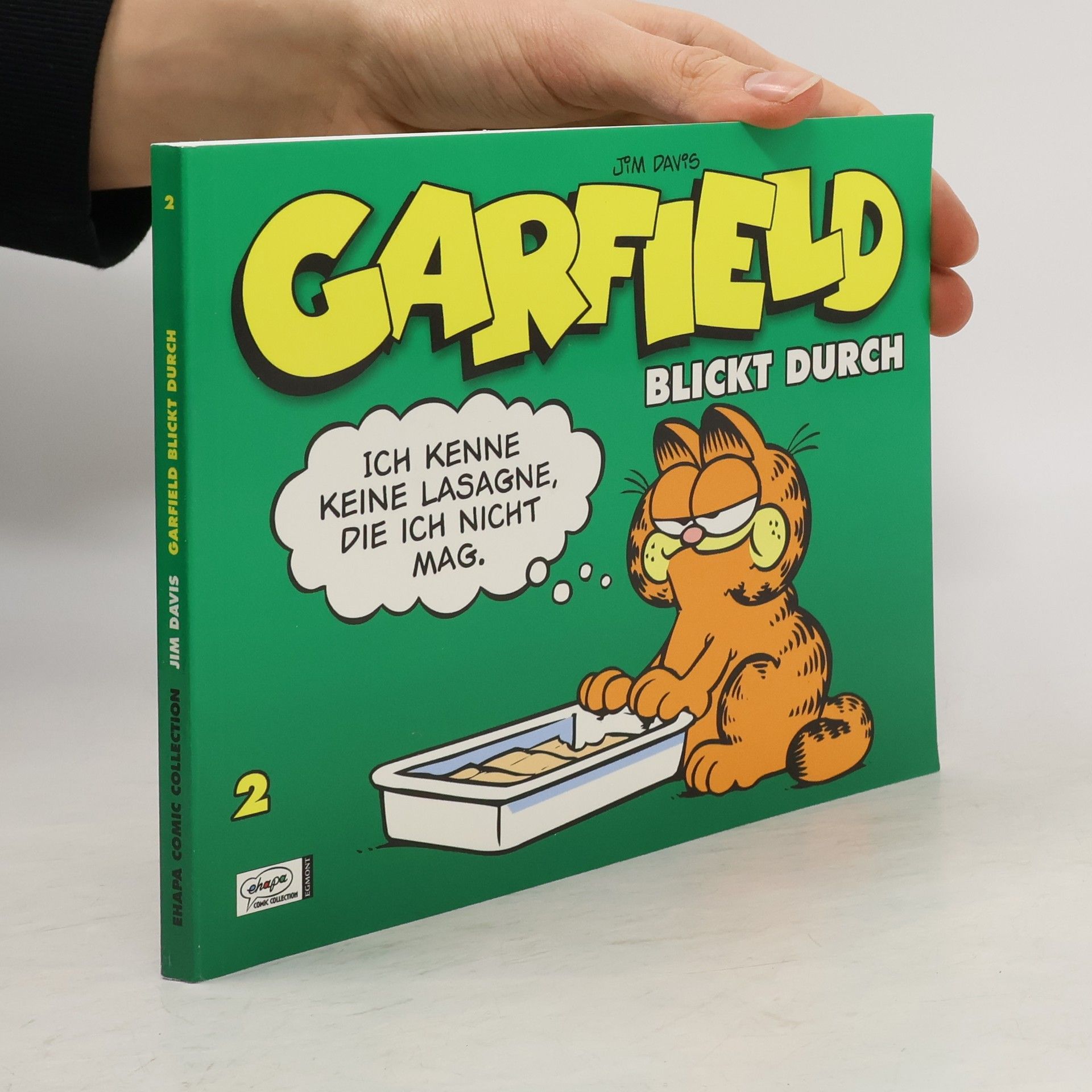 Jim Davis Garfield blickt durch