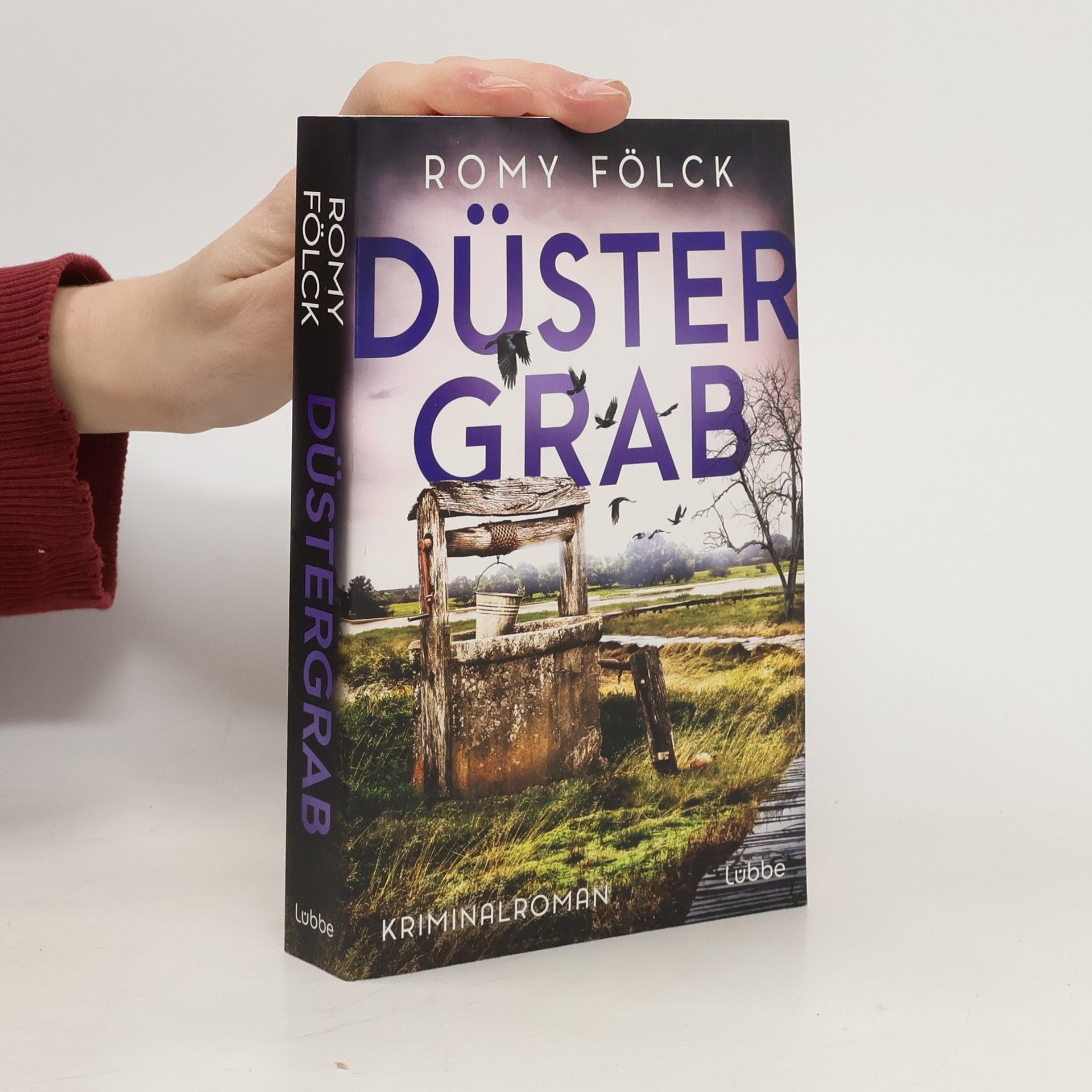 Romy Fölck Düstergrab