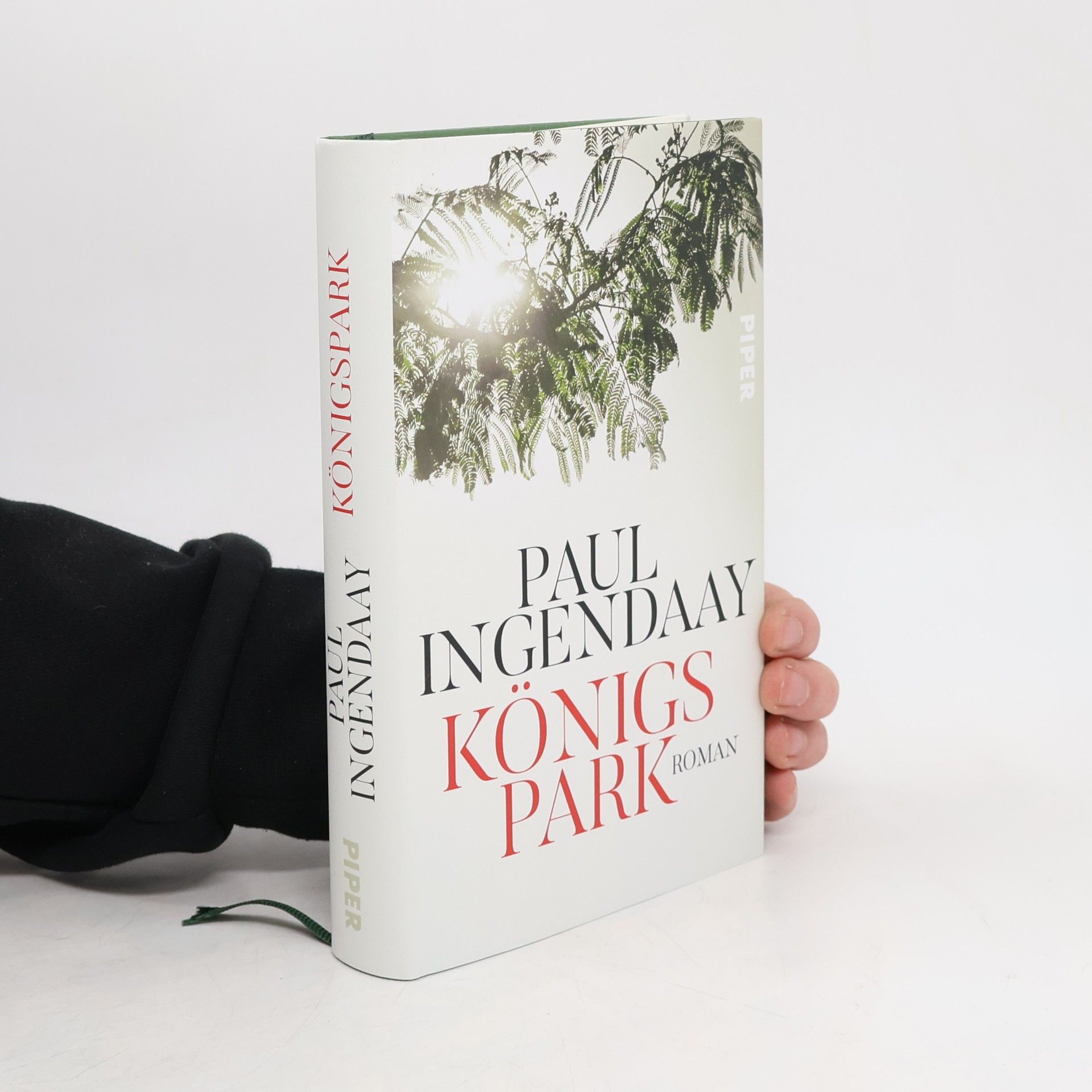 Paul Ingendaay Königspark