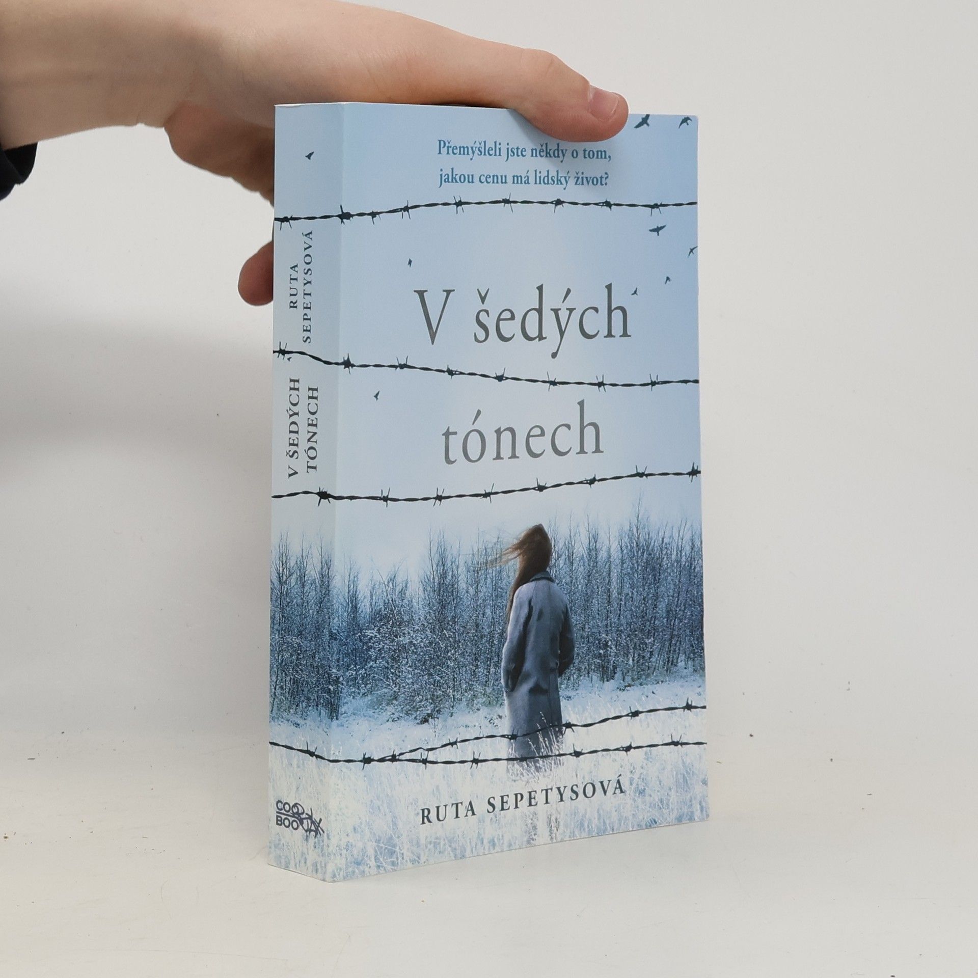 Ruta Sepetysová V šedých tónech