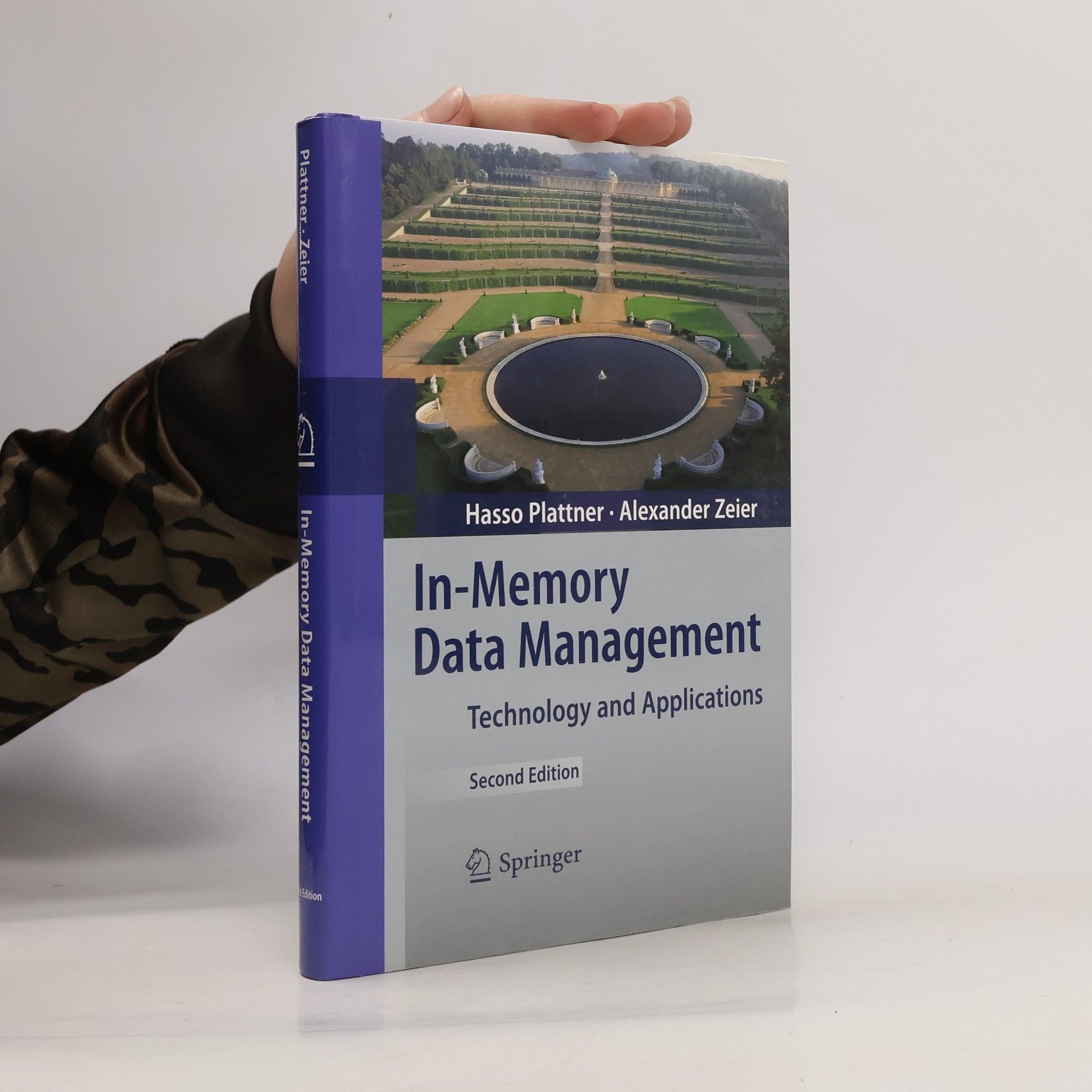 In-Memory Data Management