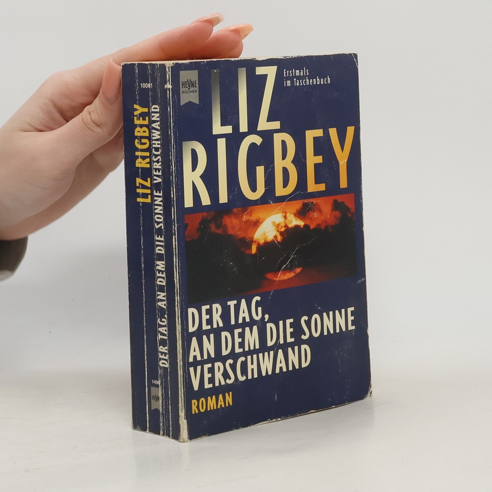 Liz Rigbey Der Tag, an dem die Sonne verschwand