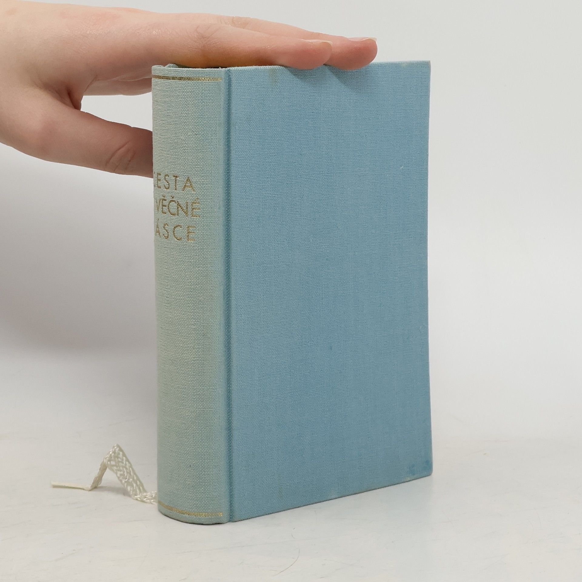 Autorenkollektiv Cesta k věčné lásce