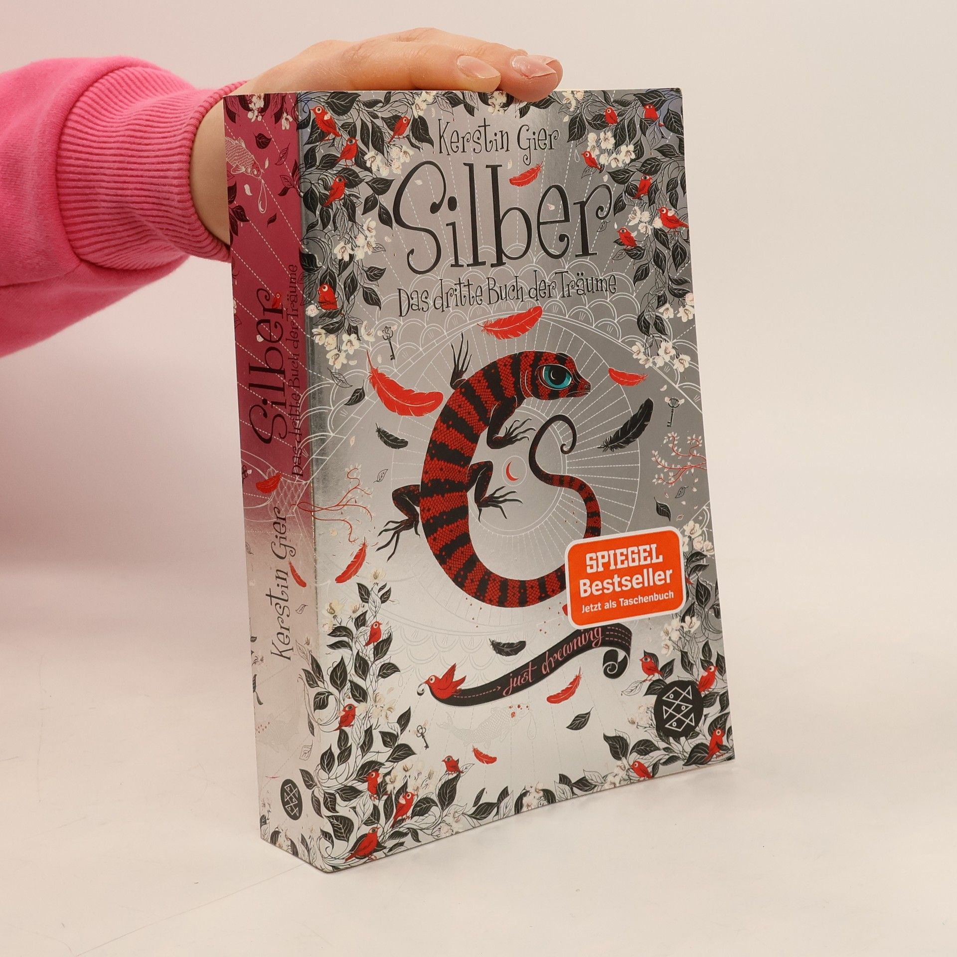 Kerstin Gier Silber: Das dritte Buch der Träume