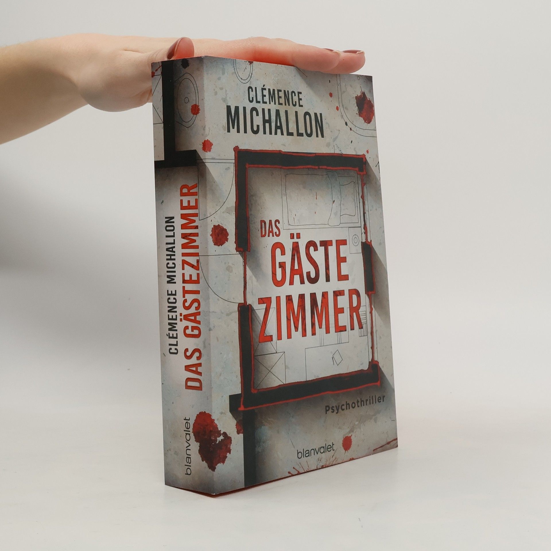 Clémence Michallon Das Gästezimmer