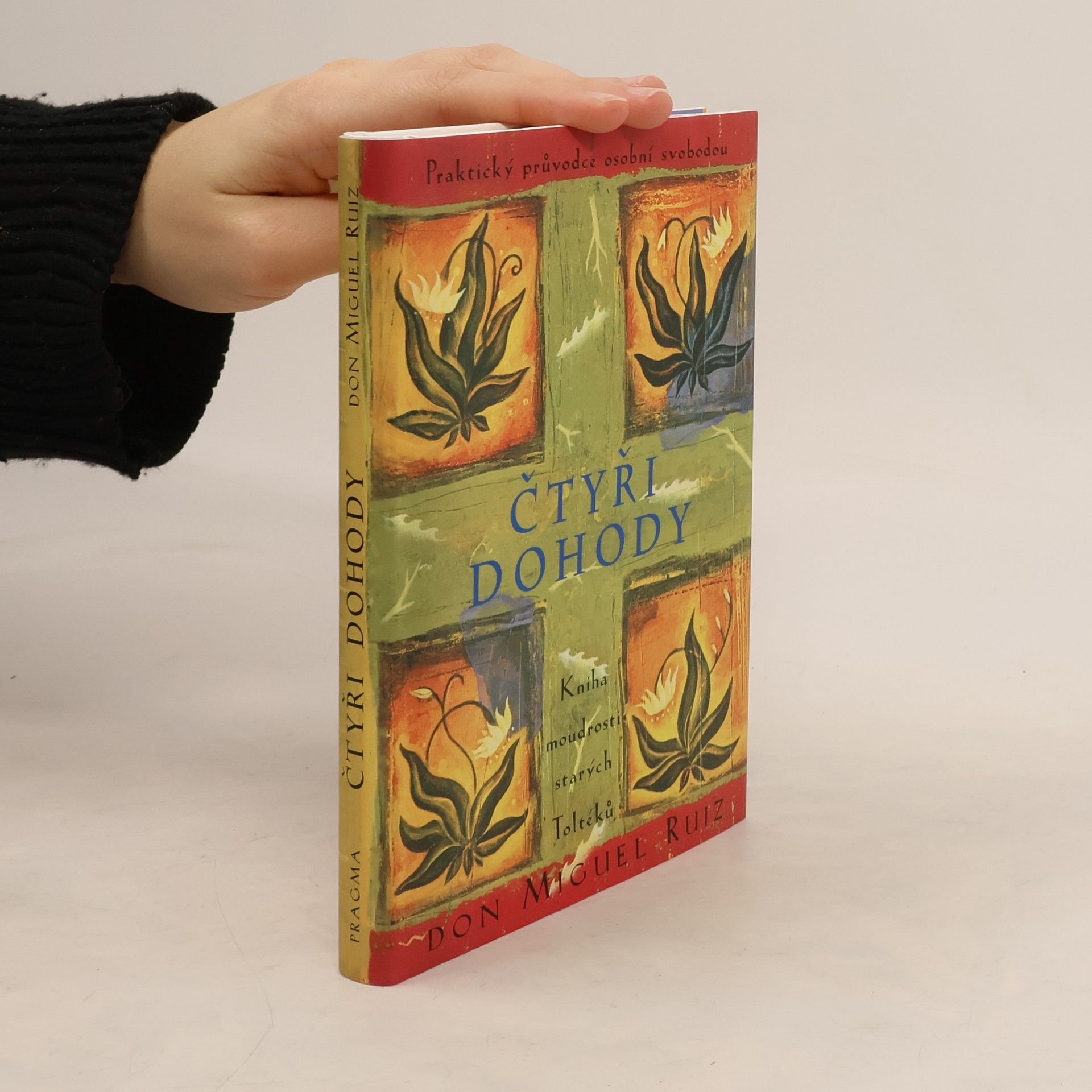 Don Miguel Ruiz Čtyři dohody