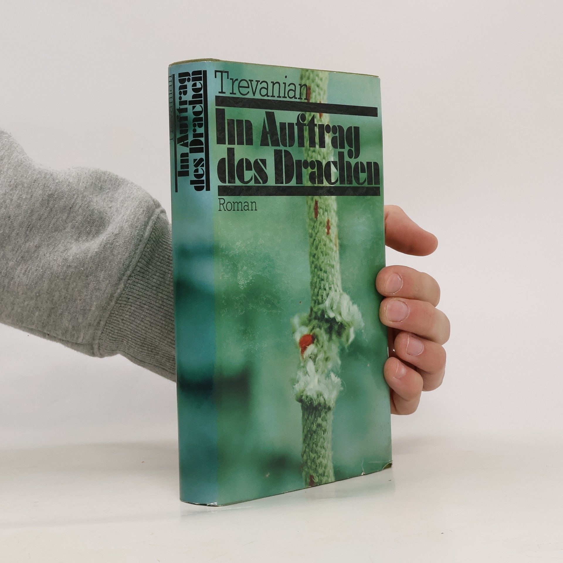 Pseud Trevanian Im Auftrag des Drachen