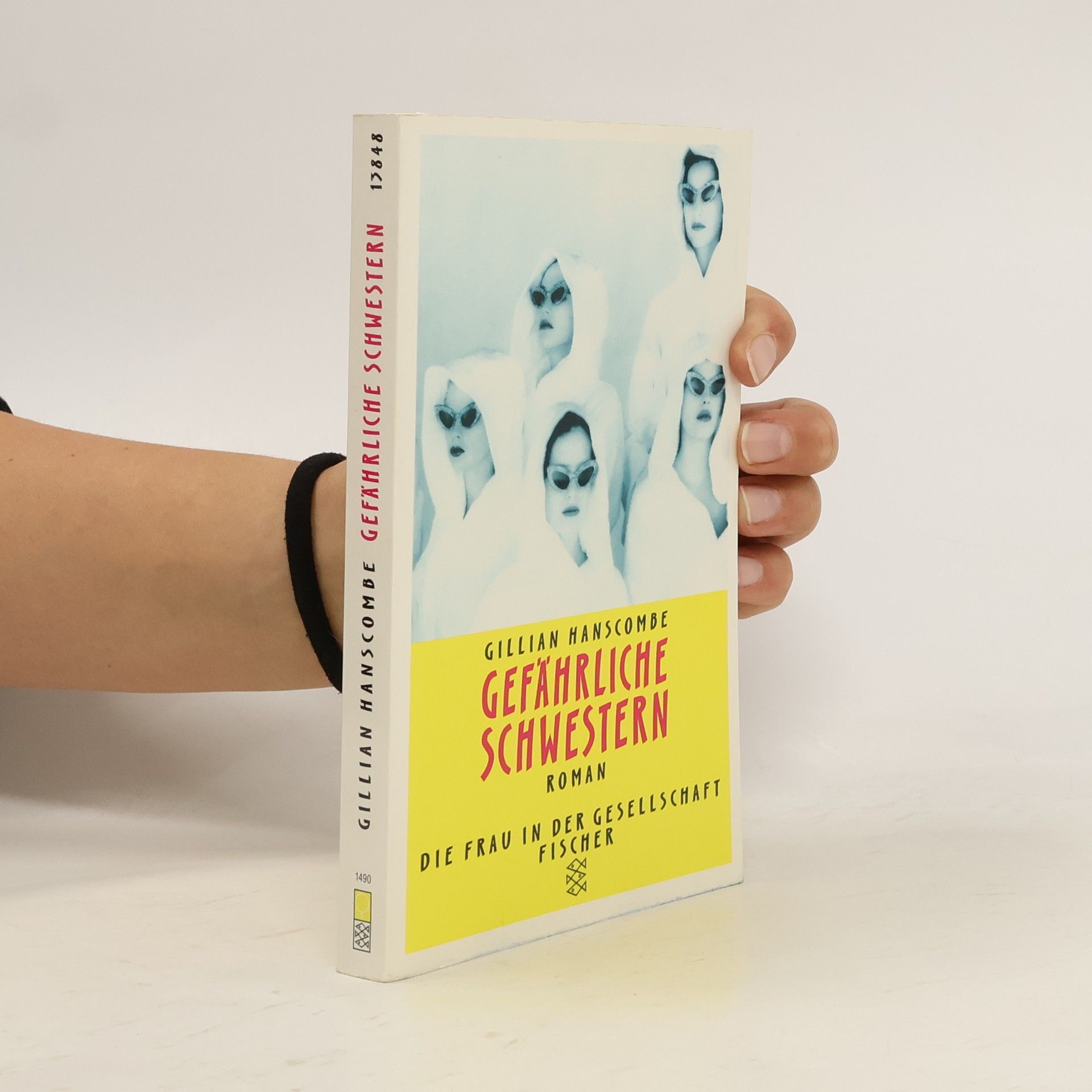 Gillian Hanscombe Gefährliche Schwestern