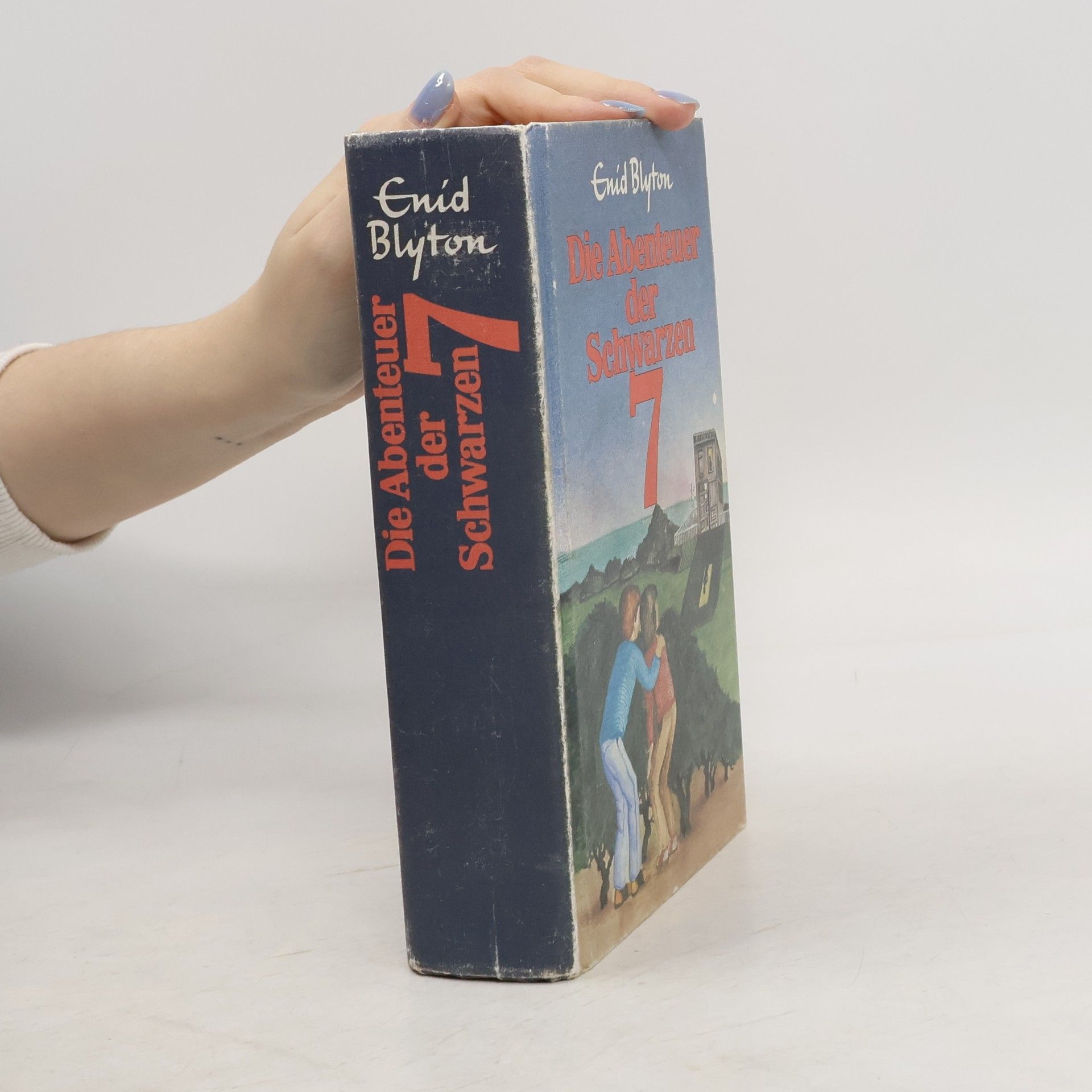 Enid Blyton Die Abenteuer der Schwarzen Sieben