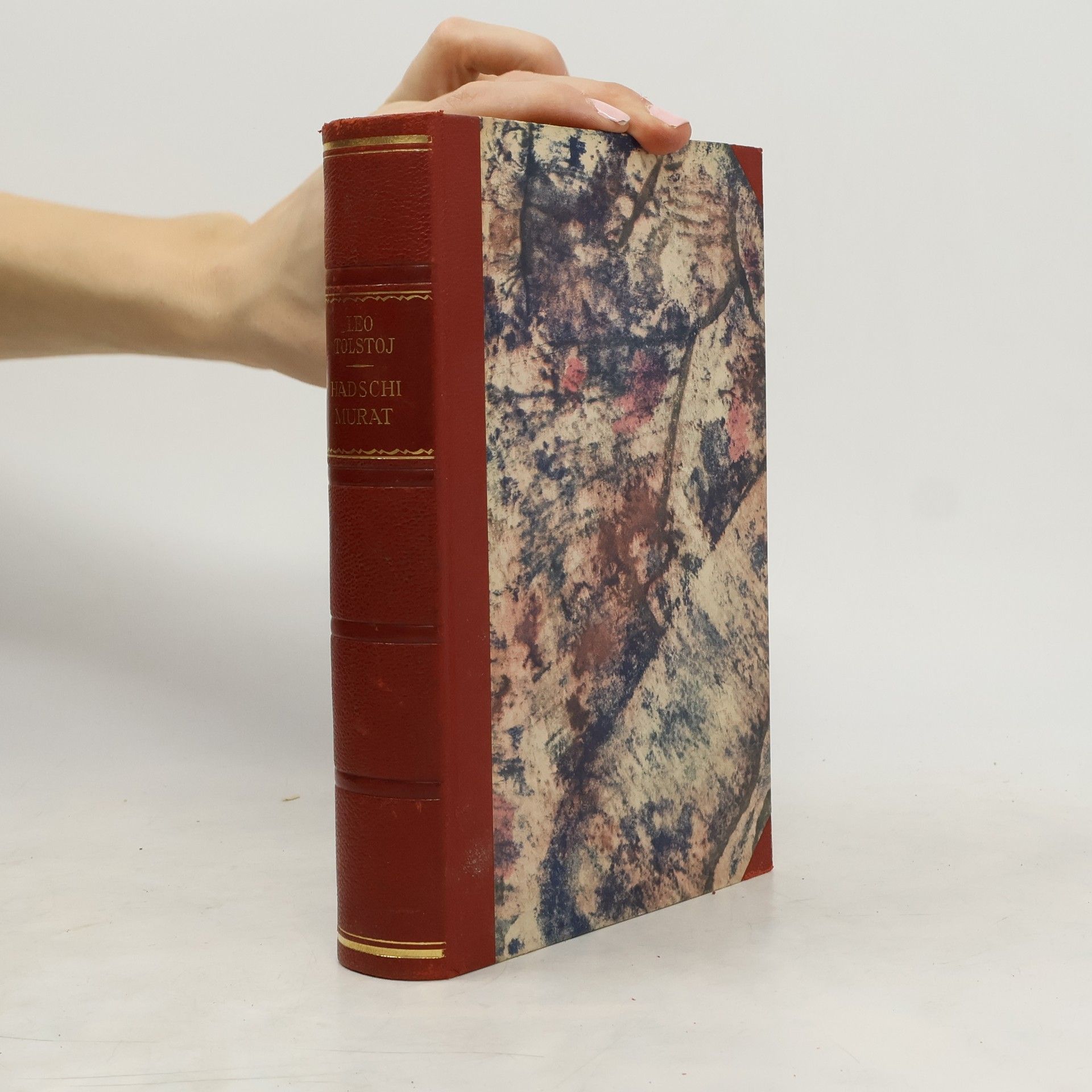 Lew Nikolajewitsch Tolstoi Hadschi Murat