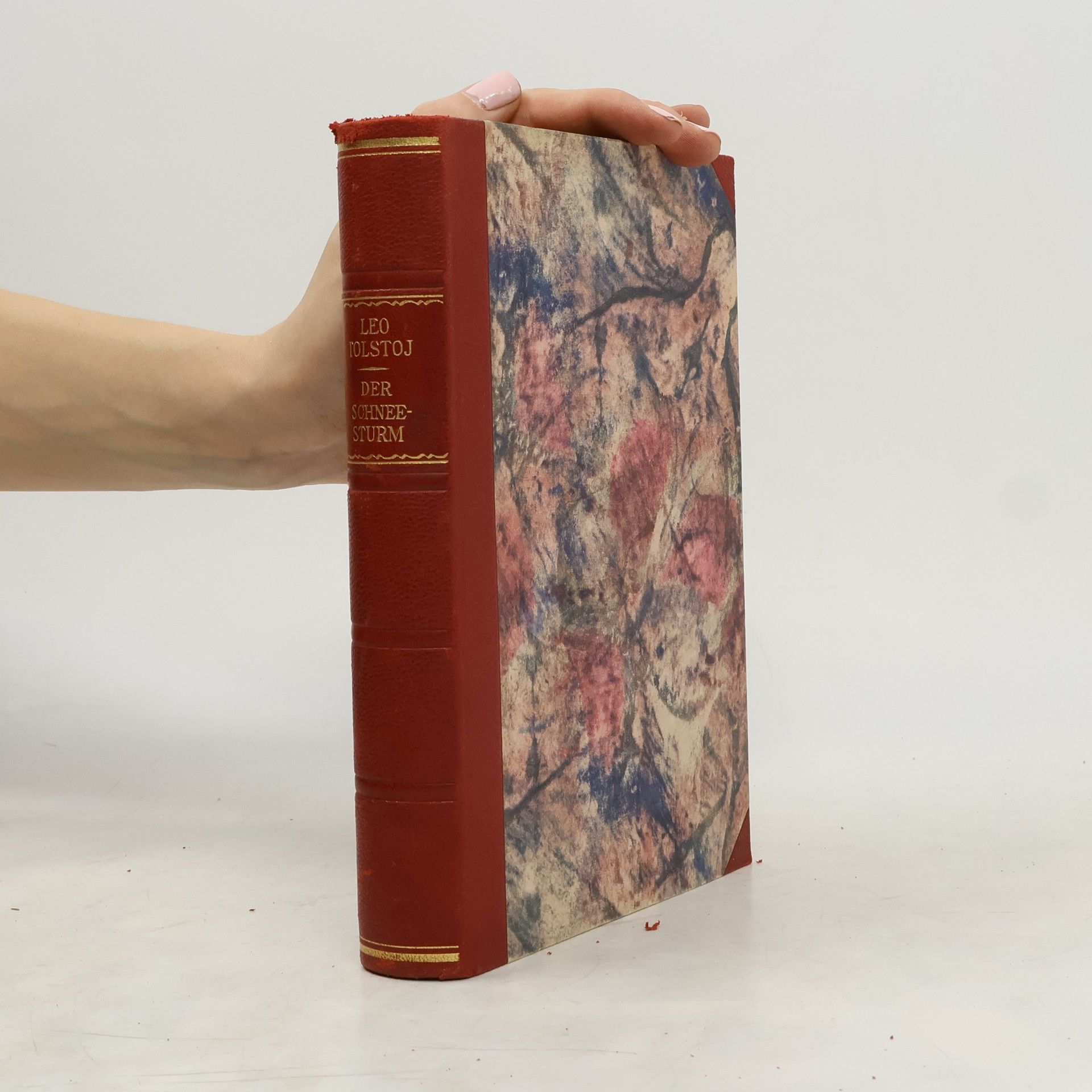 Leo Tolstoj Der Schneestrum