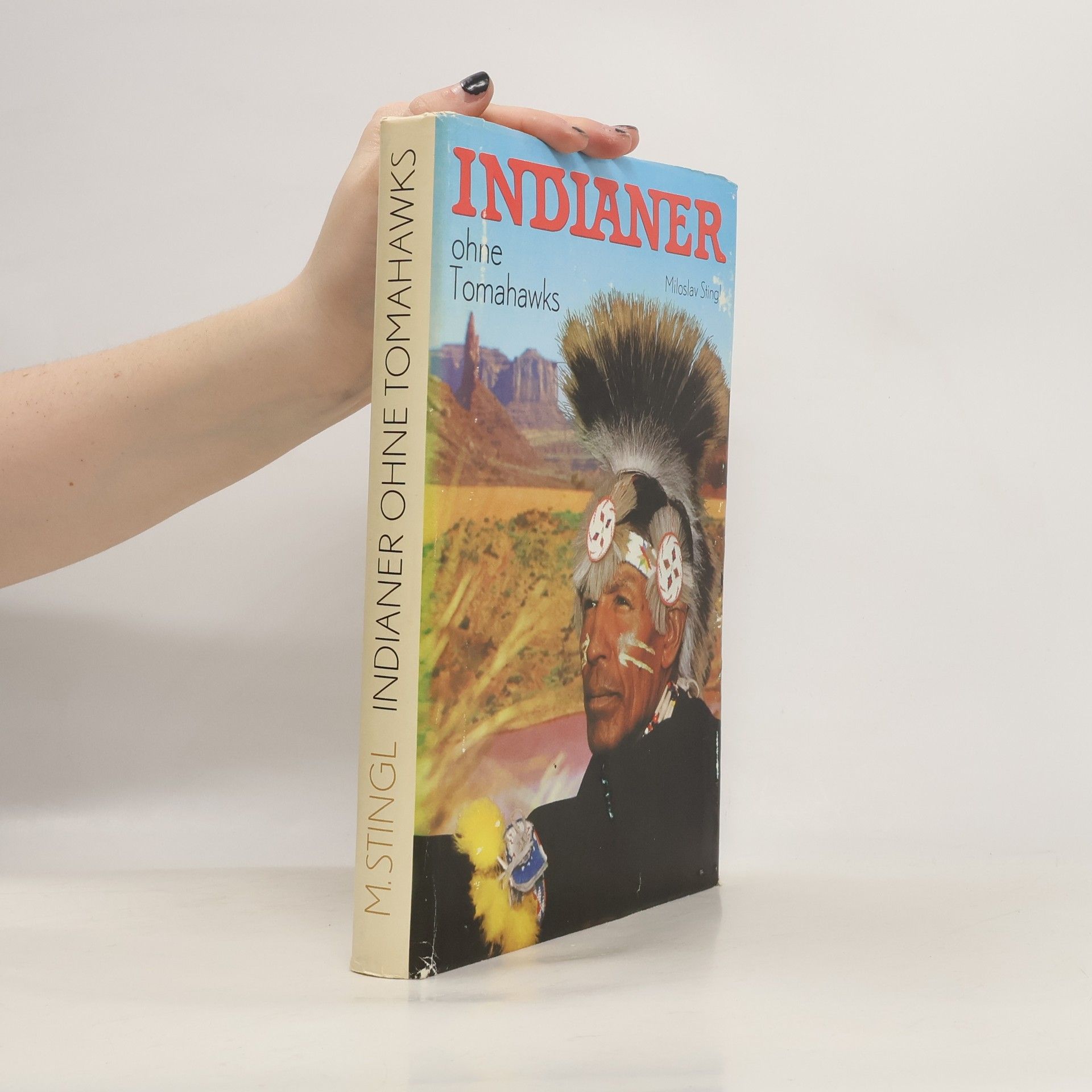 Miloslav Stingl Indianer ohne Tomahawks