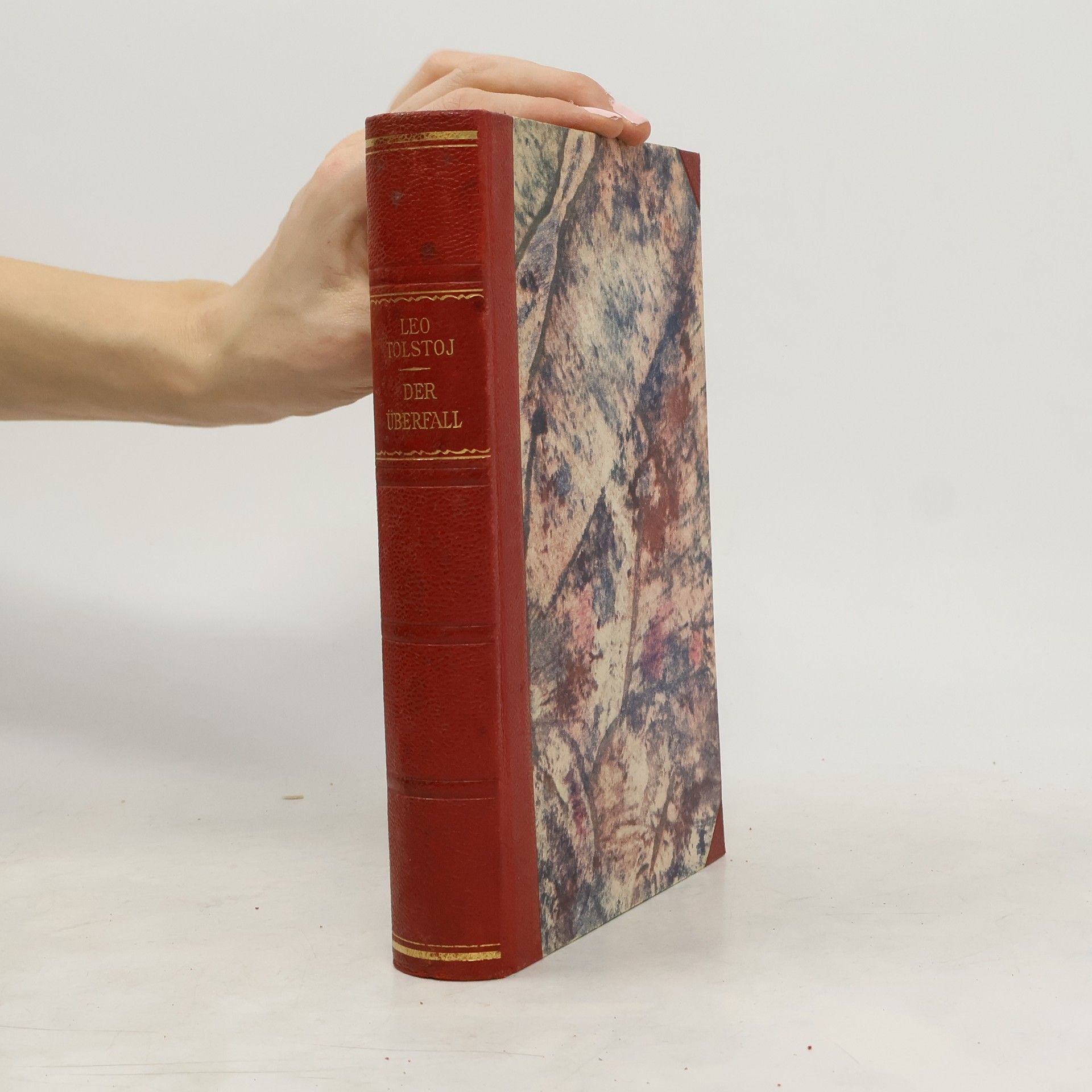 Leone Tolstoi Der Überfall
