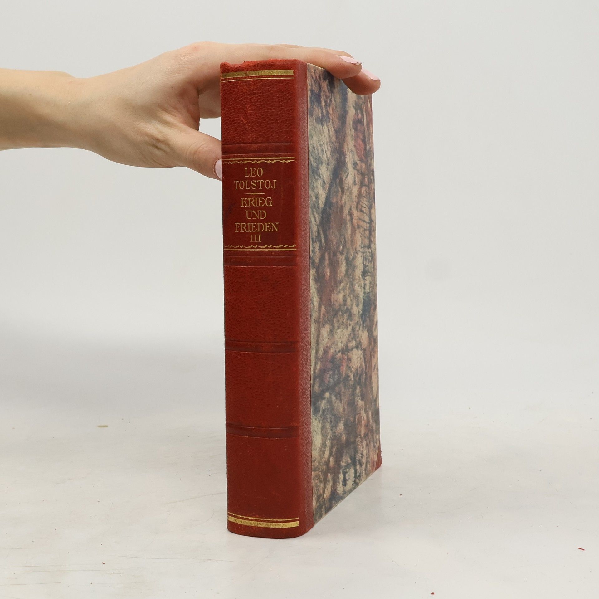 Lew Nikolajewitsch Tolstoi Krieg und Frieden 3