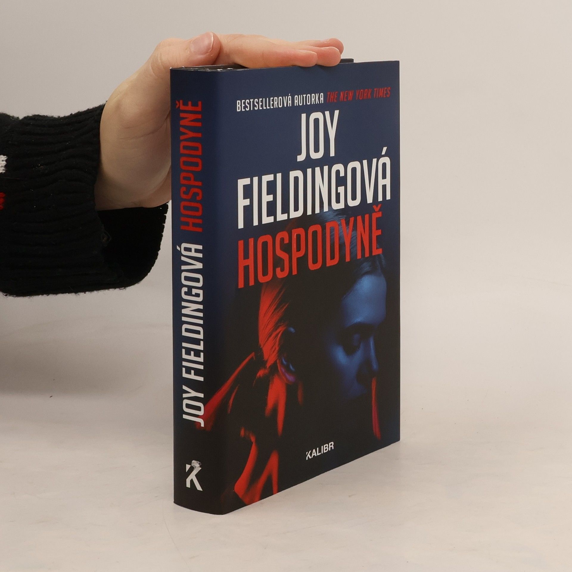 Joy Fielding Hospodyně
