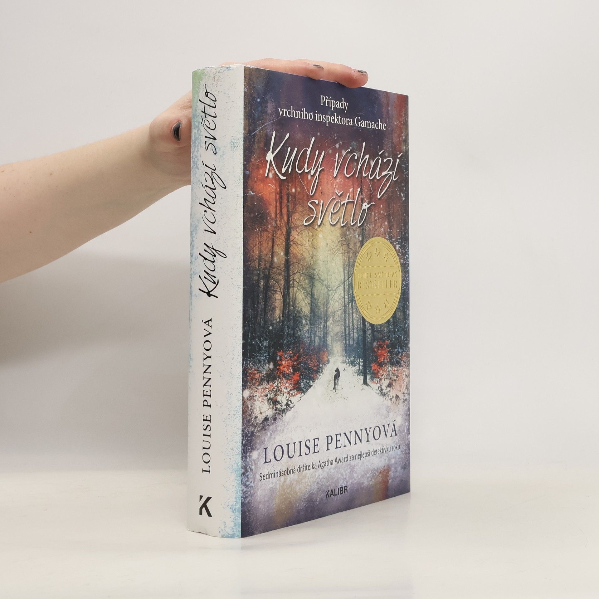 Louise Penny Kudy vchází světlo