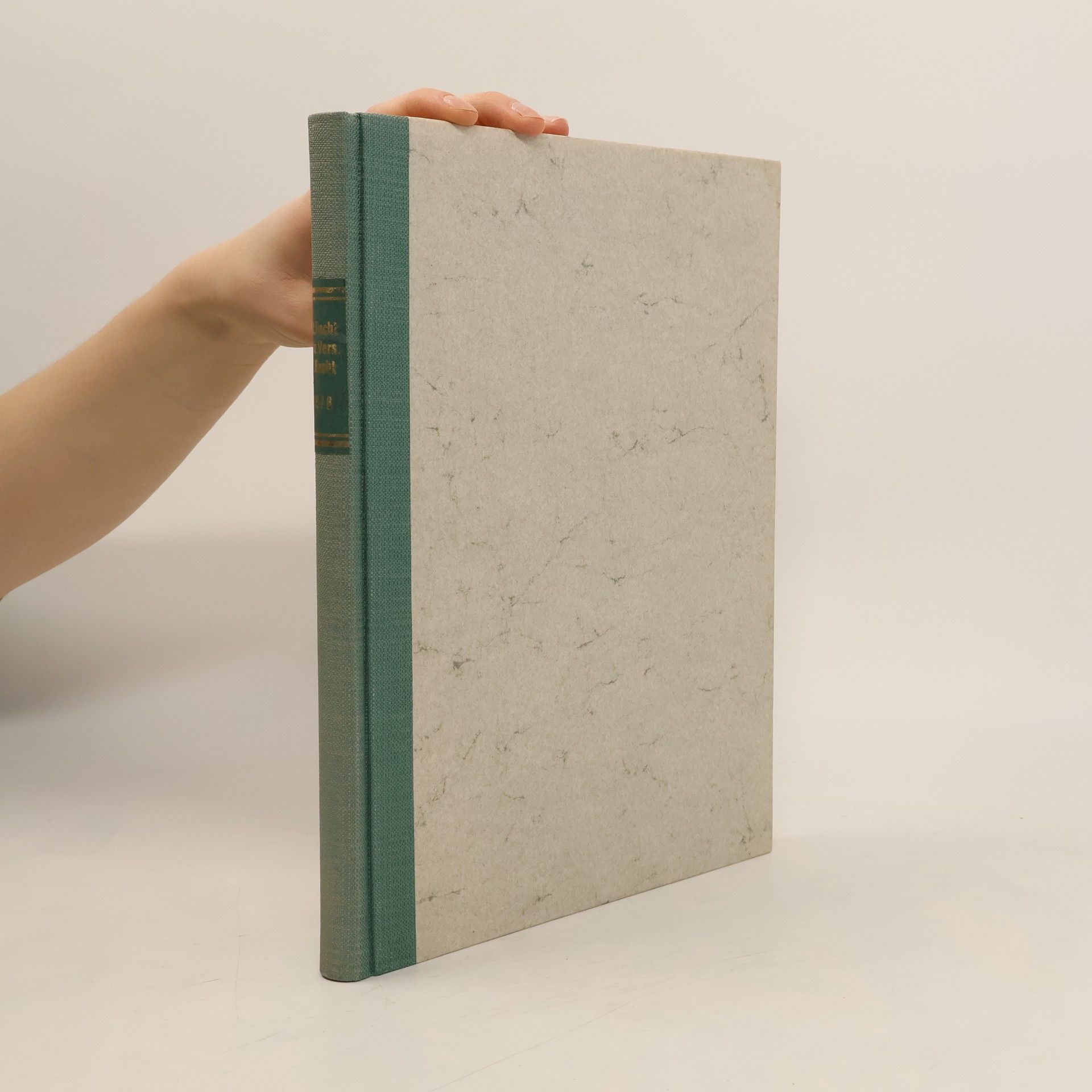 Kolektív autorov Blätter für Steuerrecht, Sozialversicherung und Arbeitsrecht