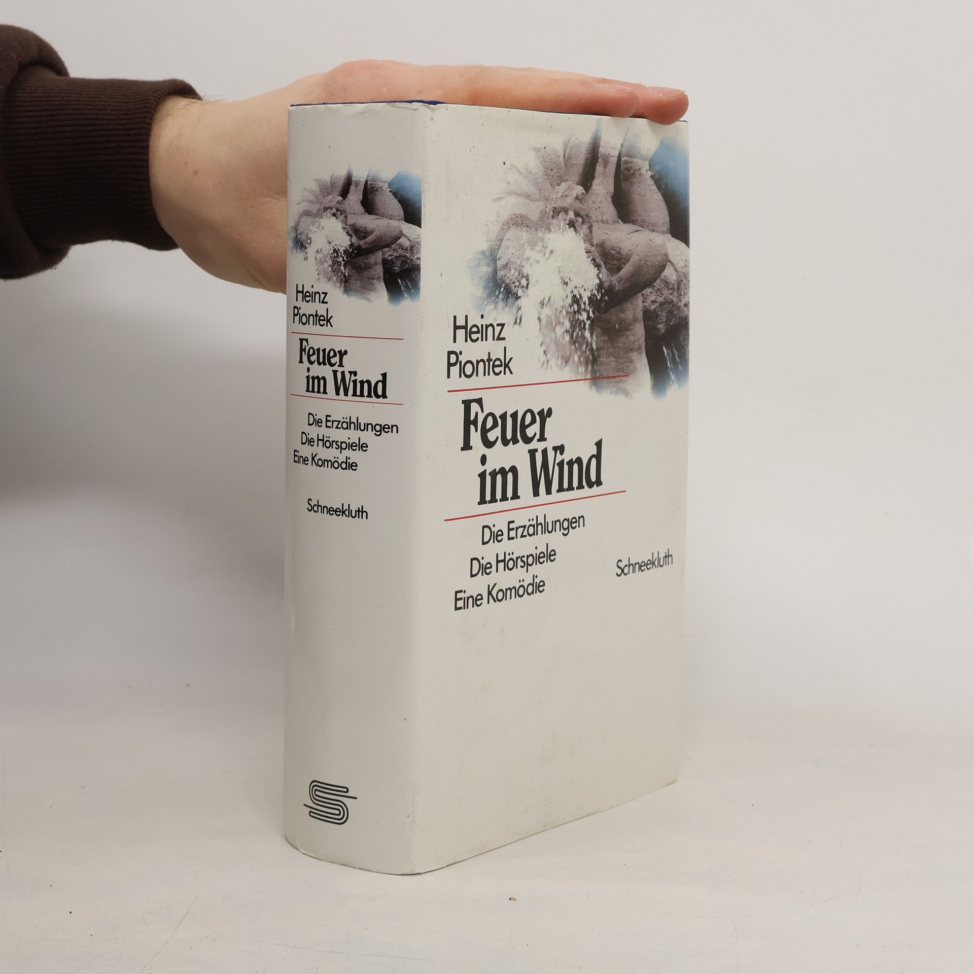 Heinz Piontek Feuer im Wind