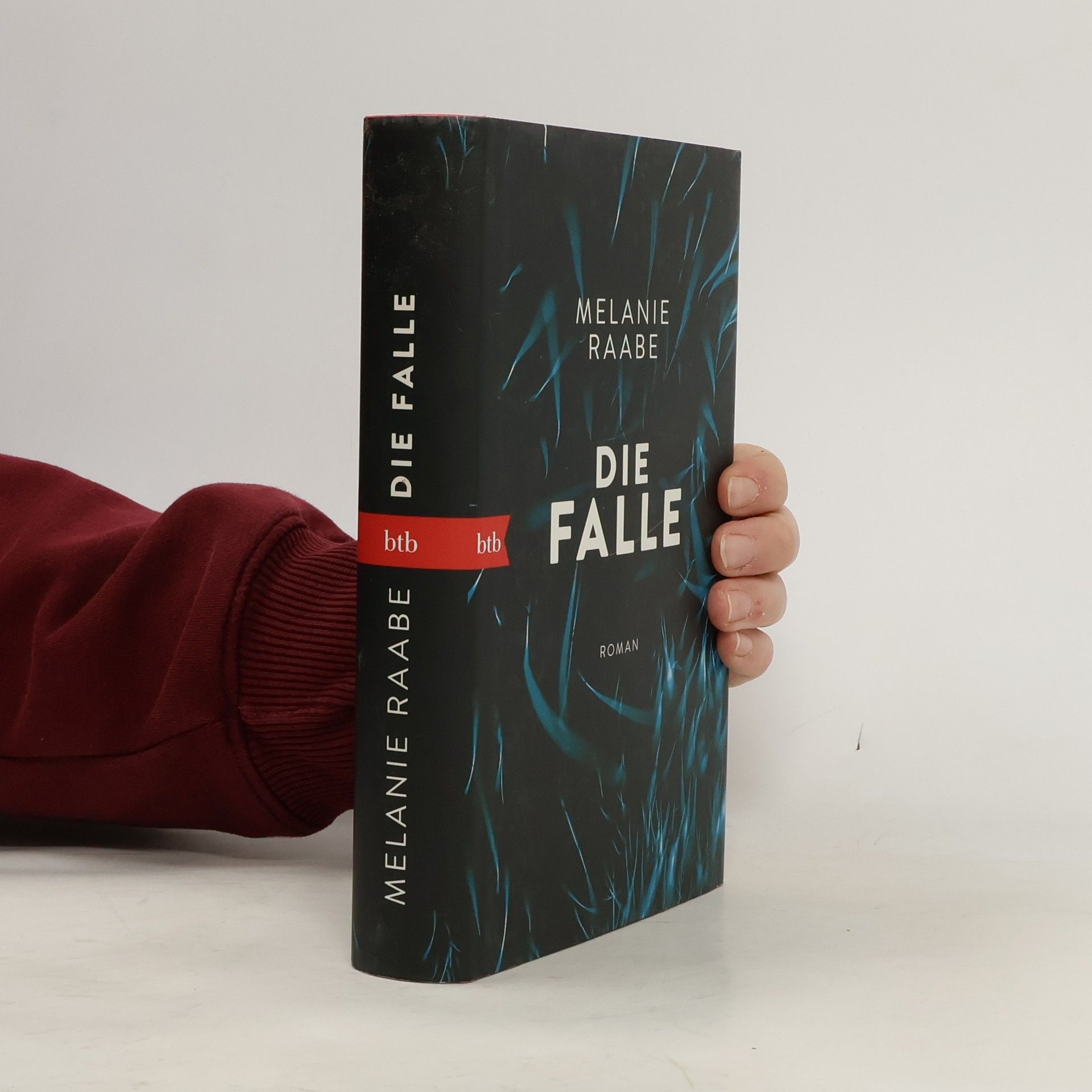 Melanie Raabe Die Falle