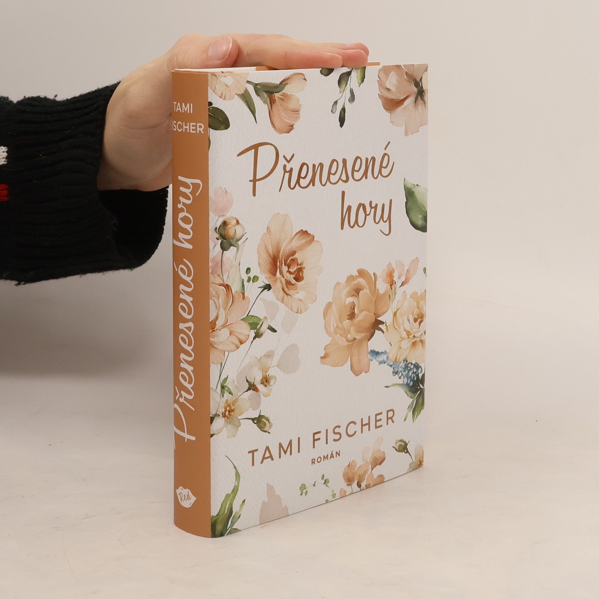 Tami Fischer Přenesené hory