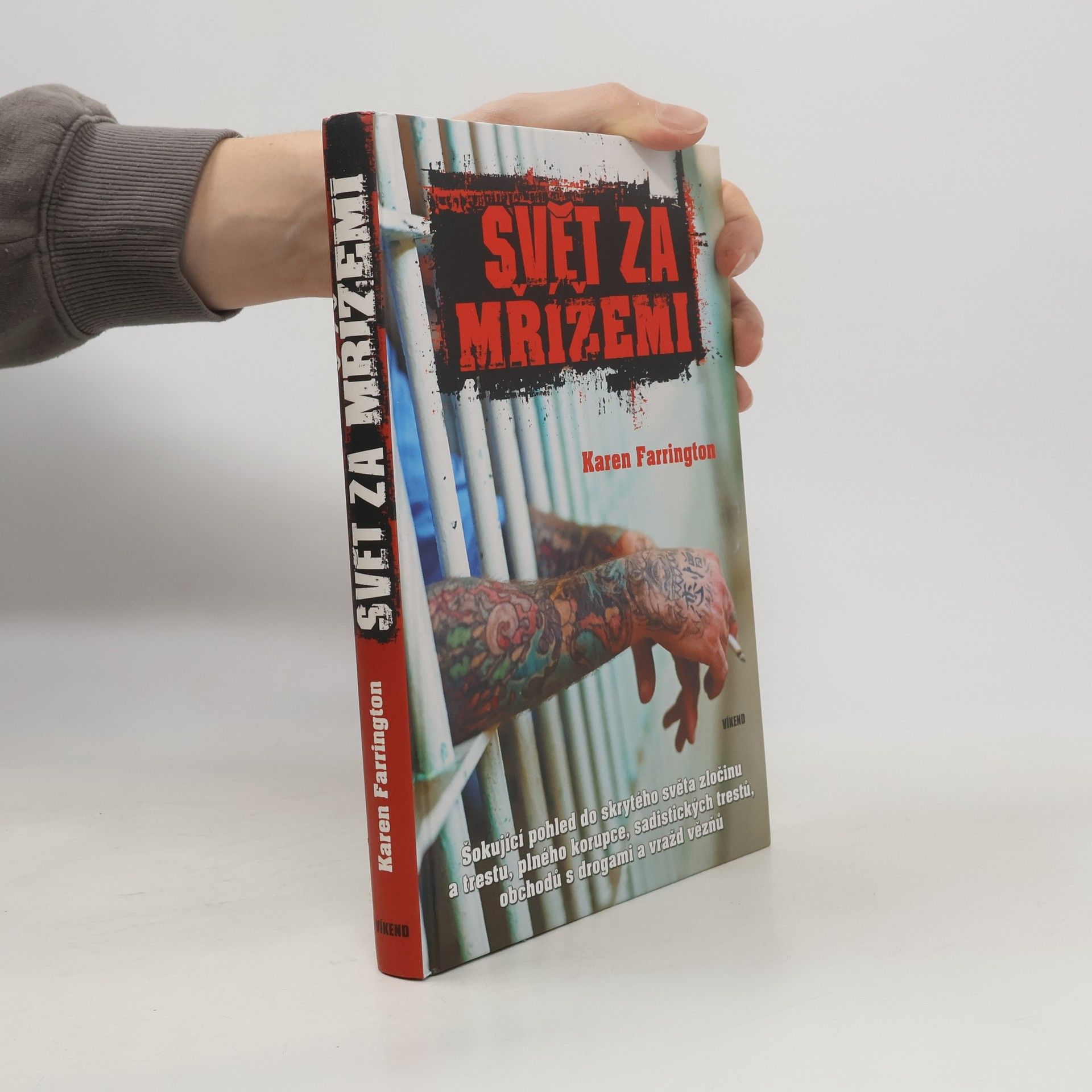 Karen Farrington Svět za mřížemi