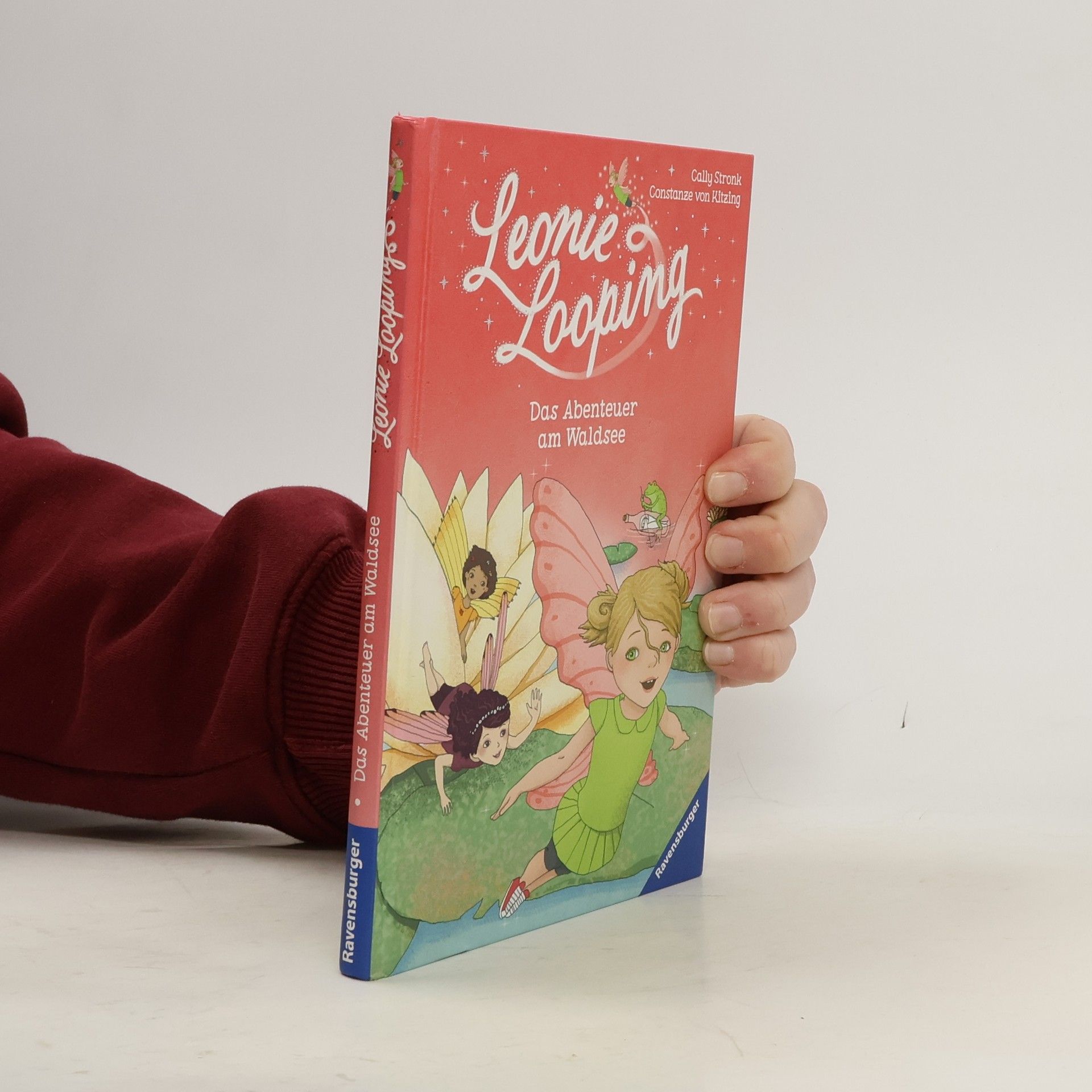 Cally Stronk Das Abenteuer am Waldsee