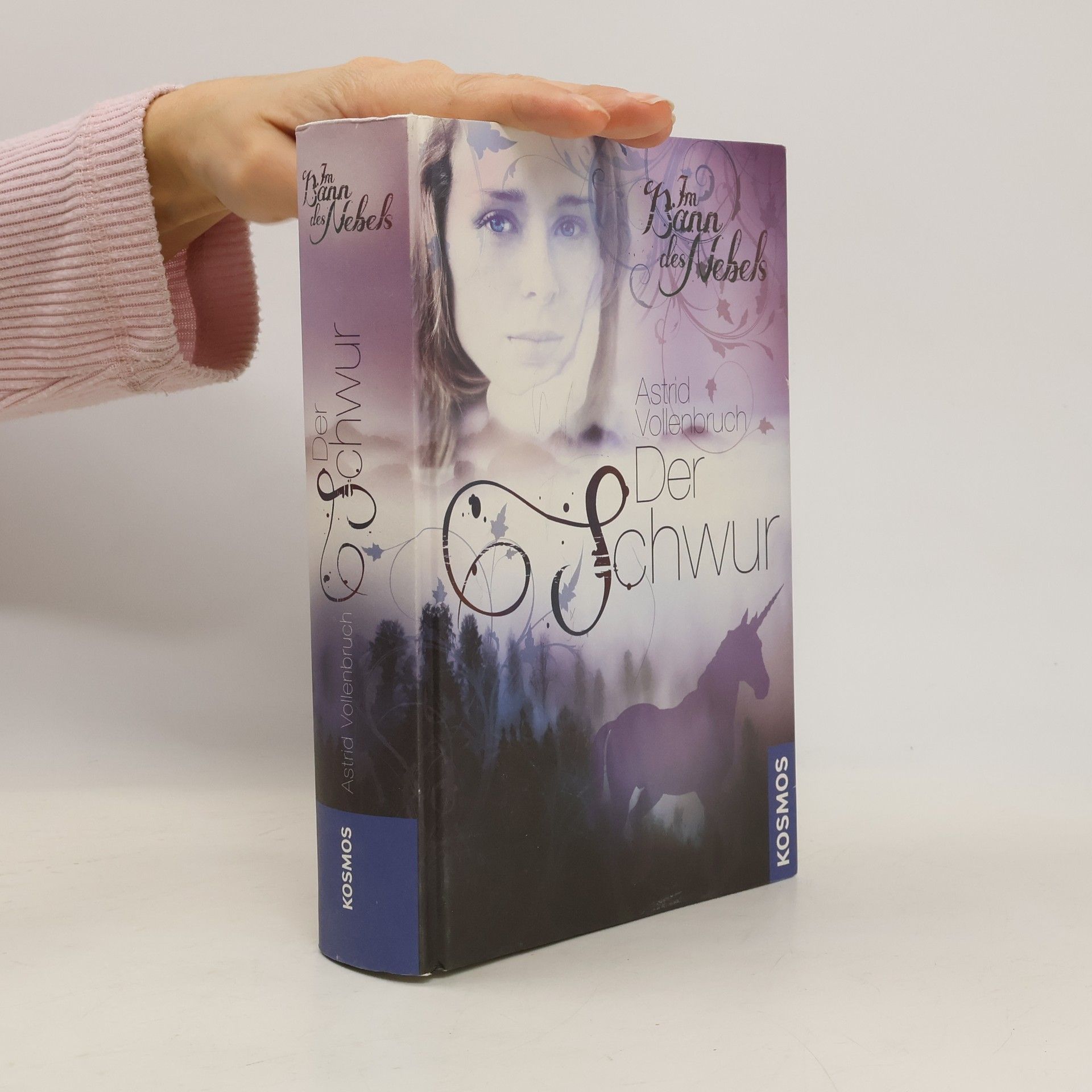 Astrid Vollenbruch Im Bann des Nebels. Der Schwur