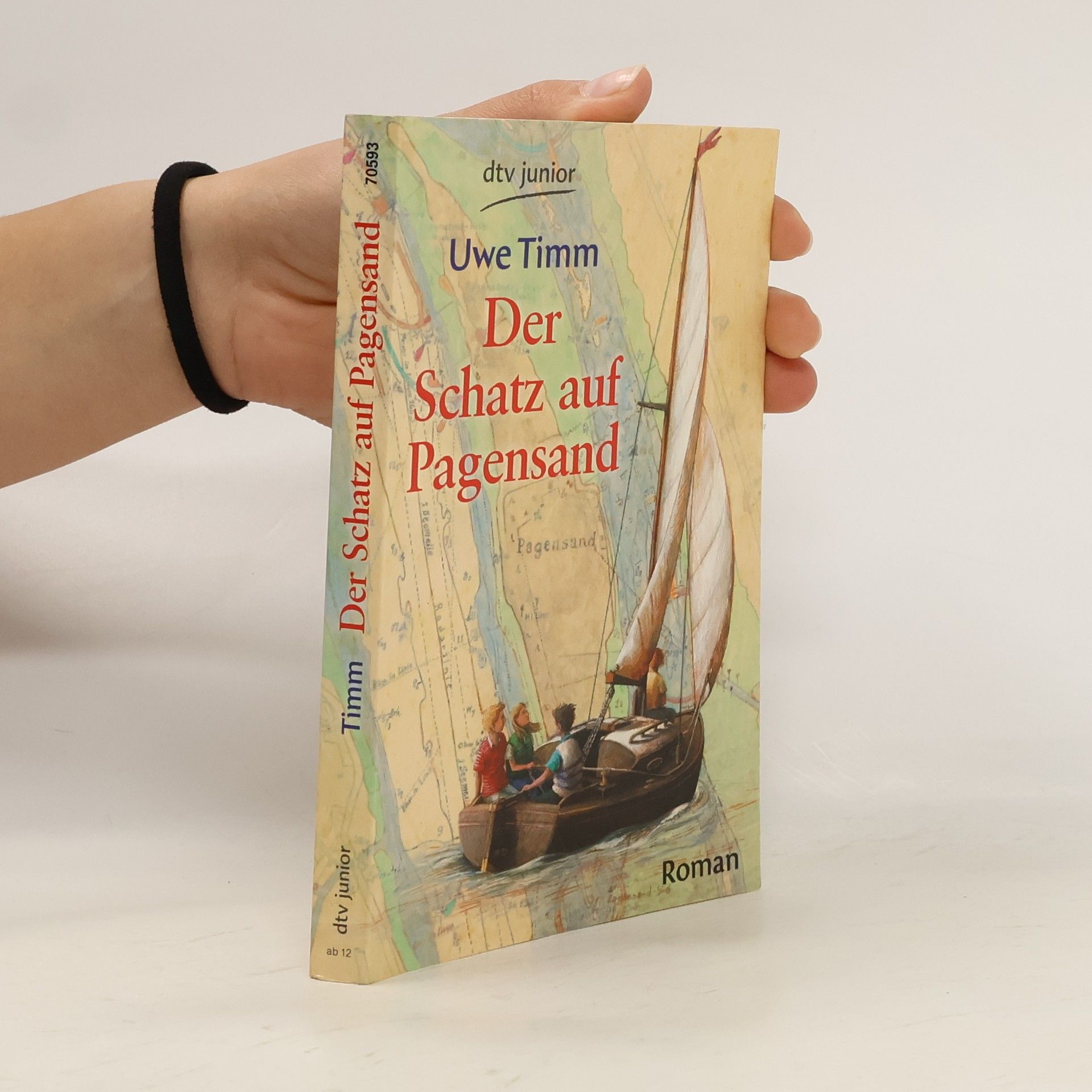 Uve Timm Der Schatz auf Pagensand