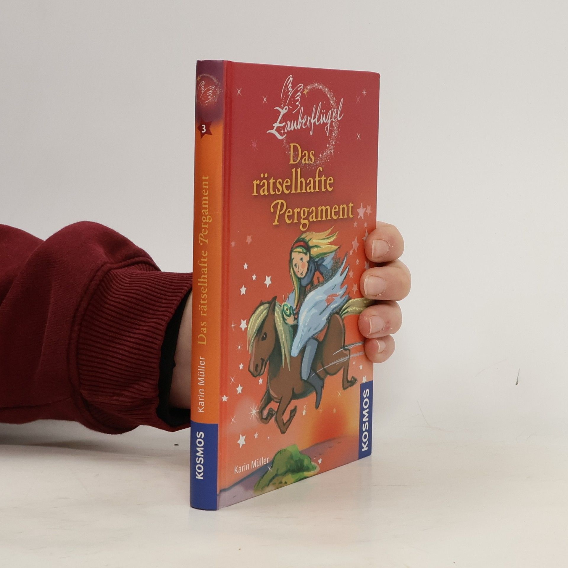 Karin Müller Zauberflügel 3. Das rätselhafte Pergament