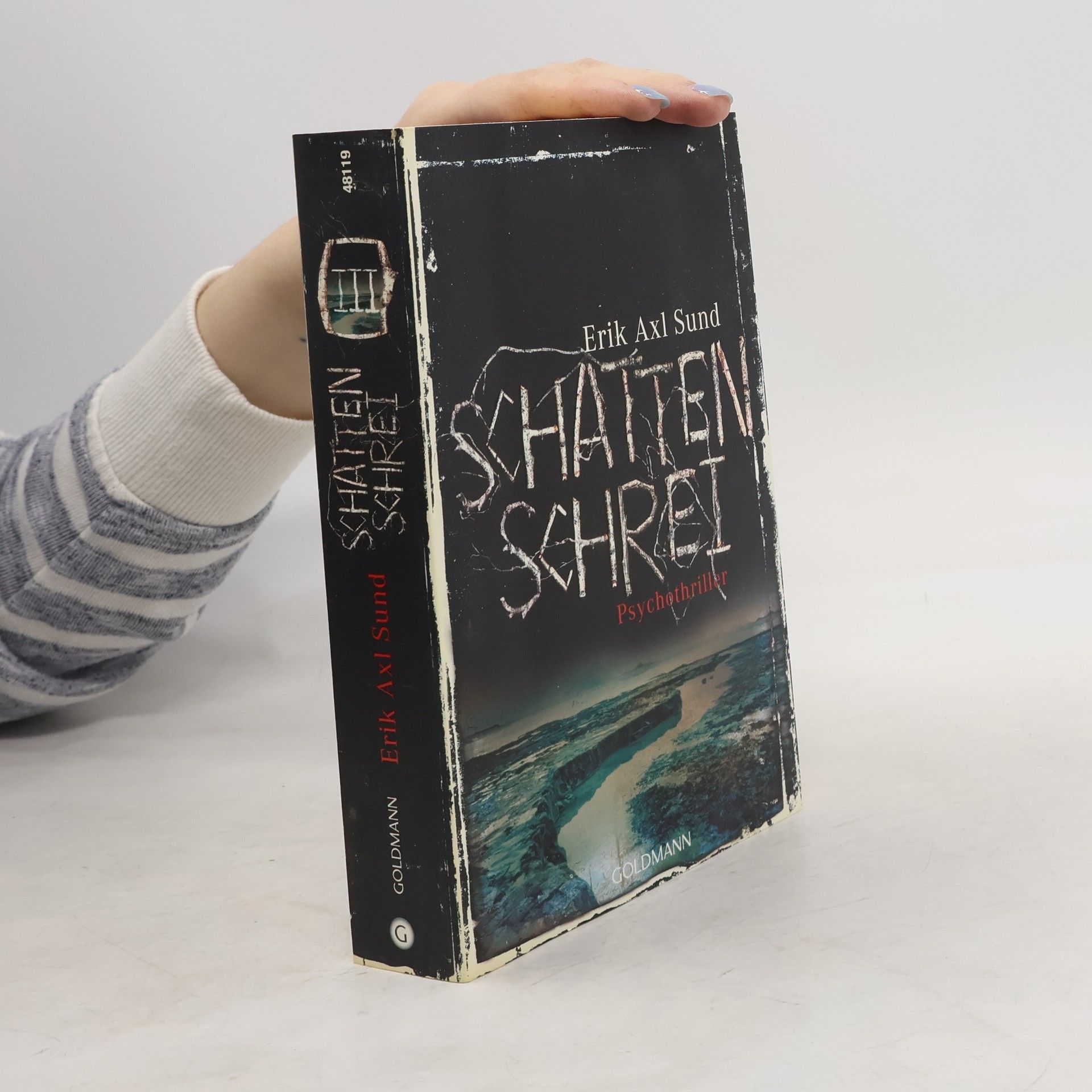 Erik Axl Sund Schattenschrei