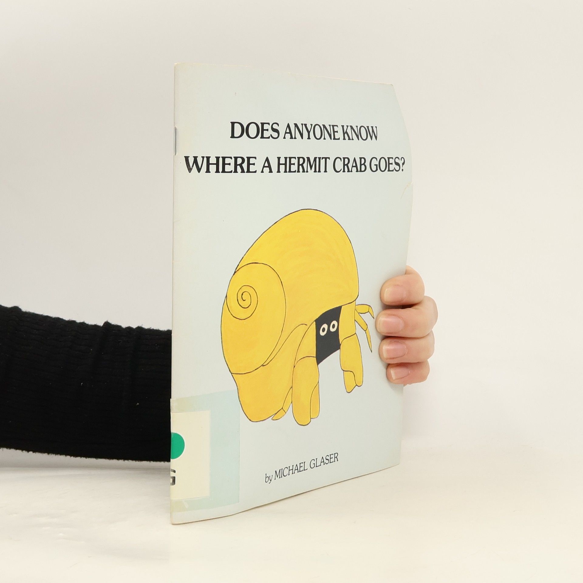 Does Anyone Know Where a Hermit Crab Goes