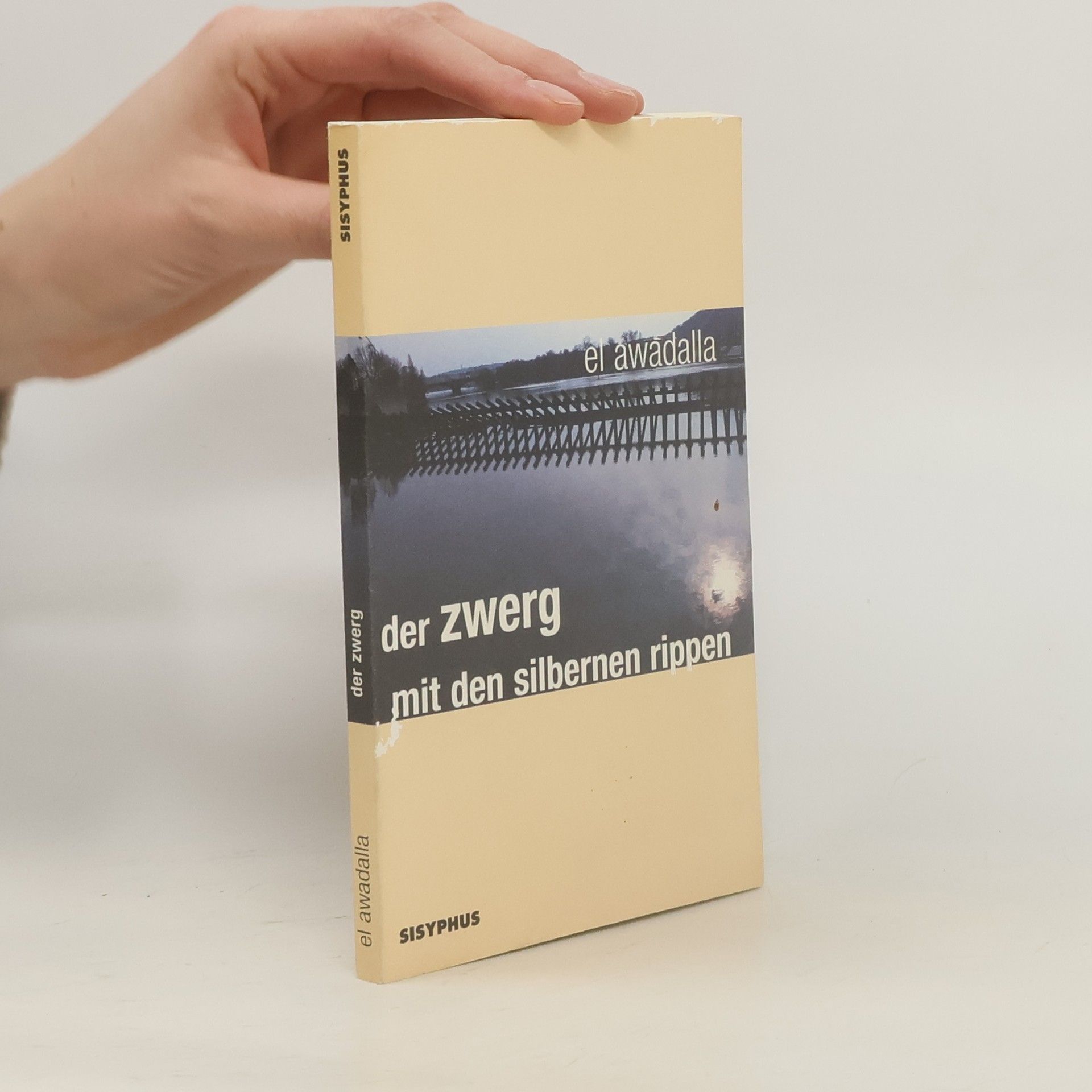 Der Zwerg mit den silbernen Rippen