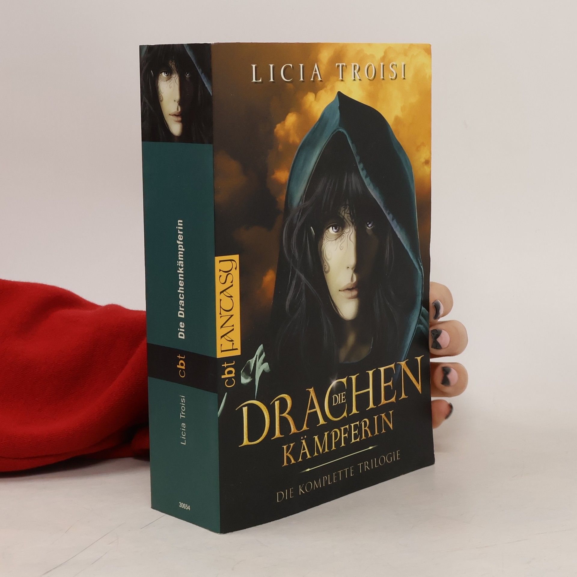 Die Drachenkämpferin - Die komplette Trilogie