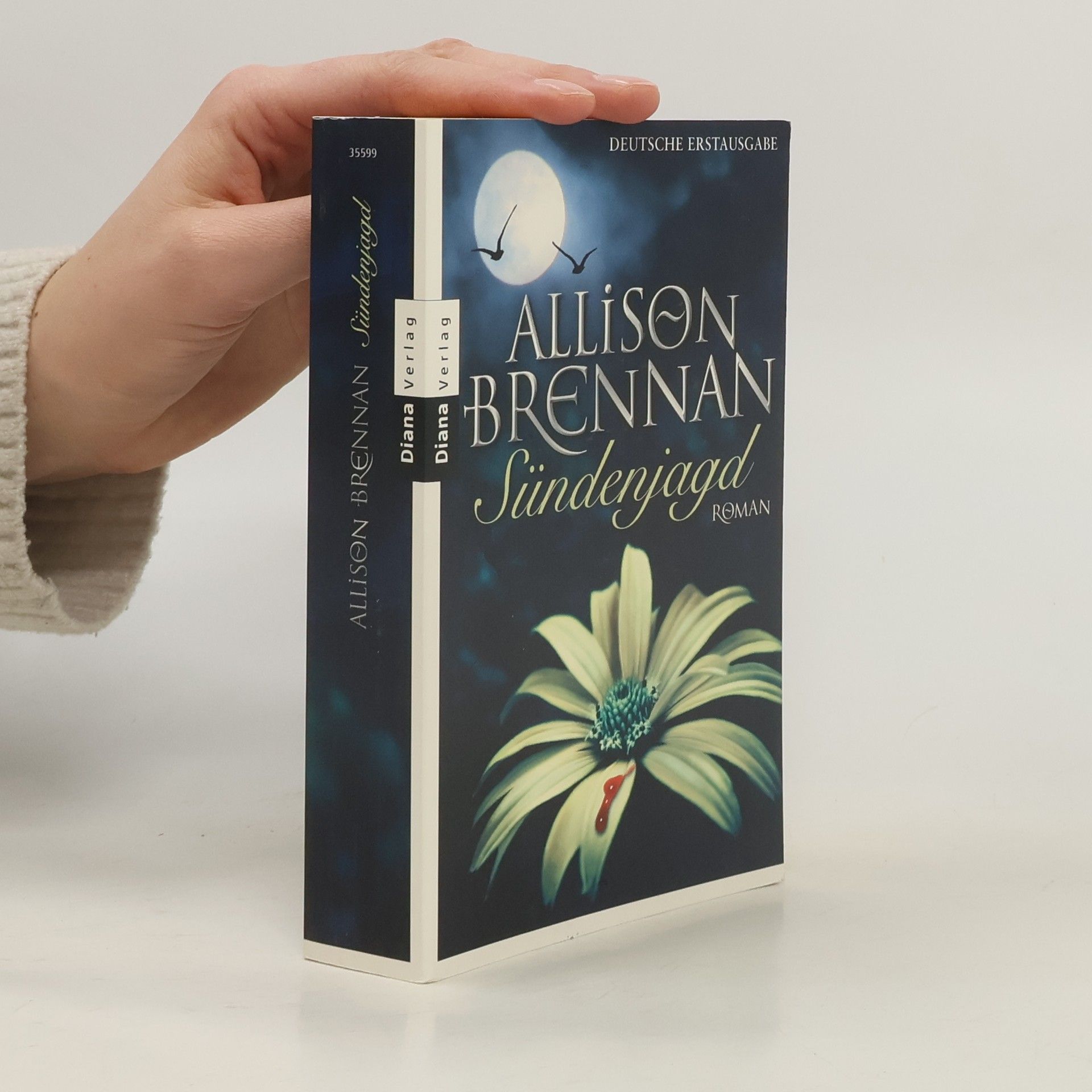 Allison Brennan Sündenjagd