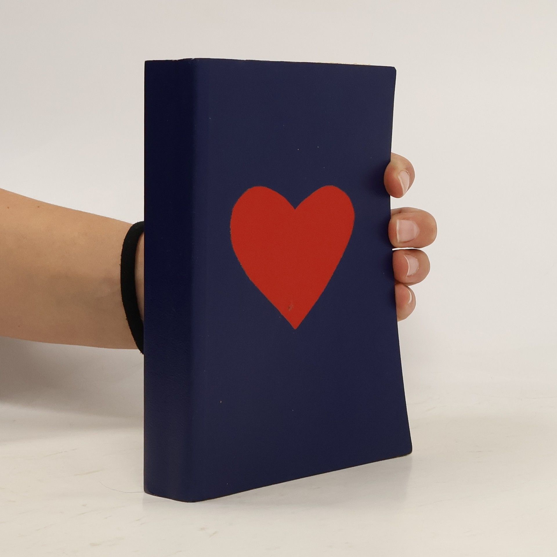 Collectif d'auteurs Библия. Книги Священного Писания Ветхого и Нового Завета