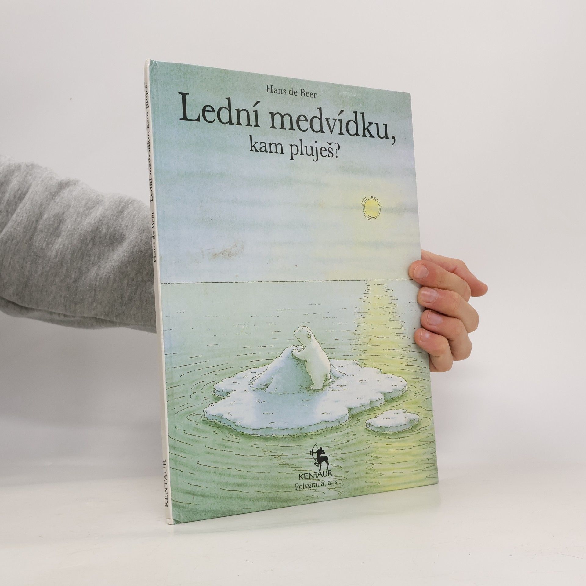 Hans De Beer Lední medvídku, kam pluješ?