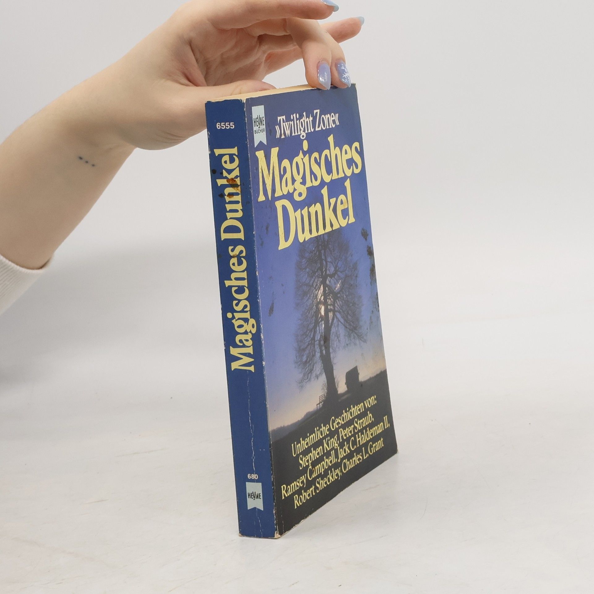 Kolektív autorov Magisches Dunkel