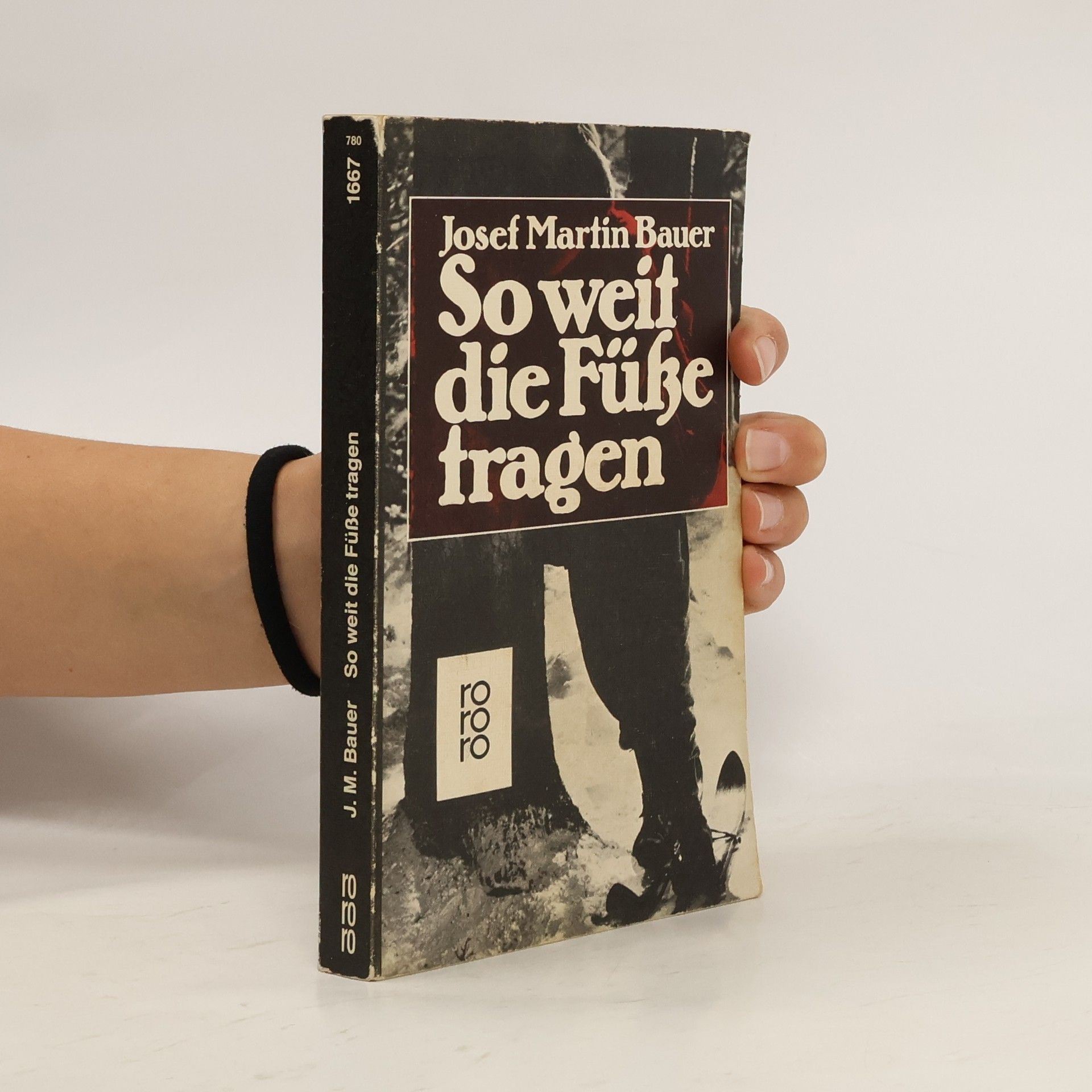 Josef Martin Bauer So weit die Füke tragen