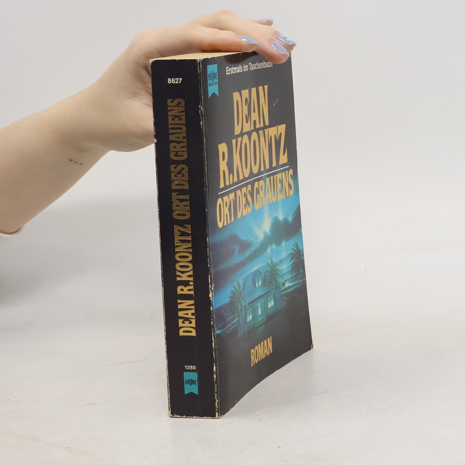 Dean R. Koontz Ort des Grauens