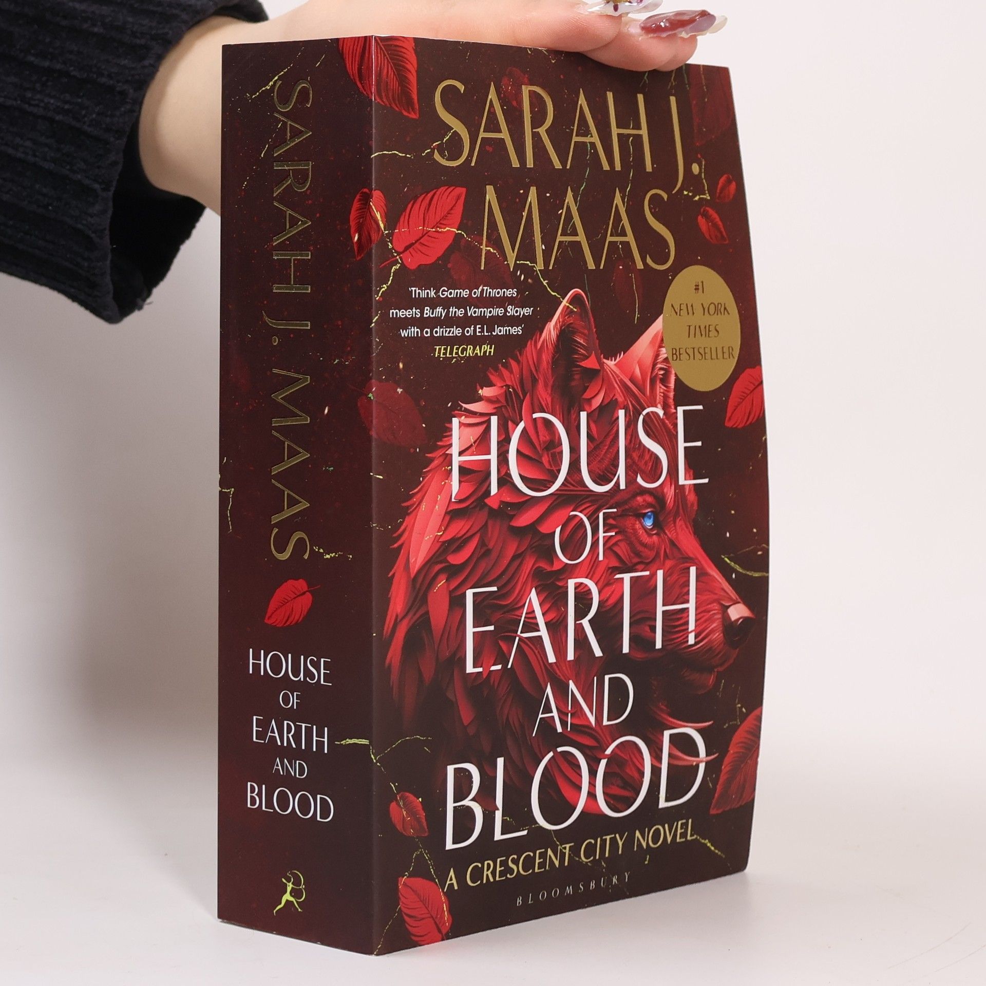 Sarah J. Maas House of Earth and Blood