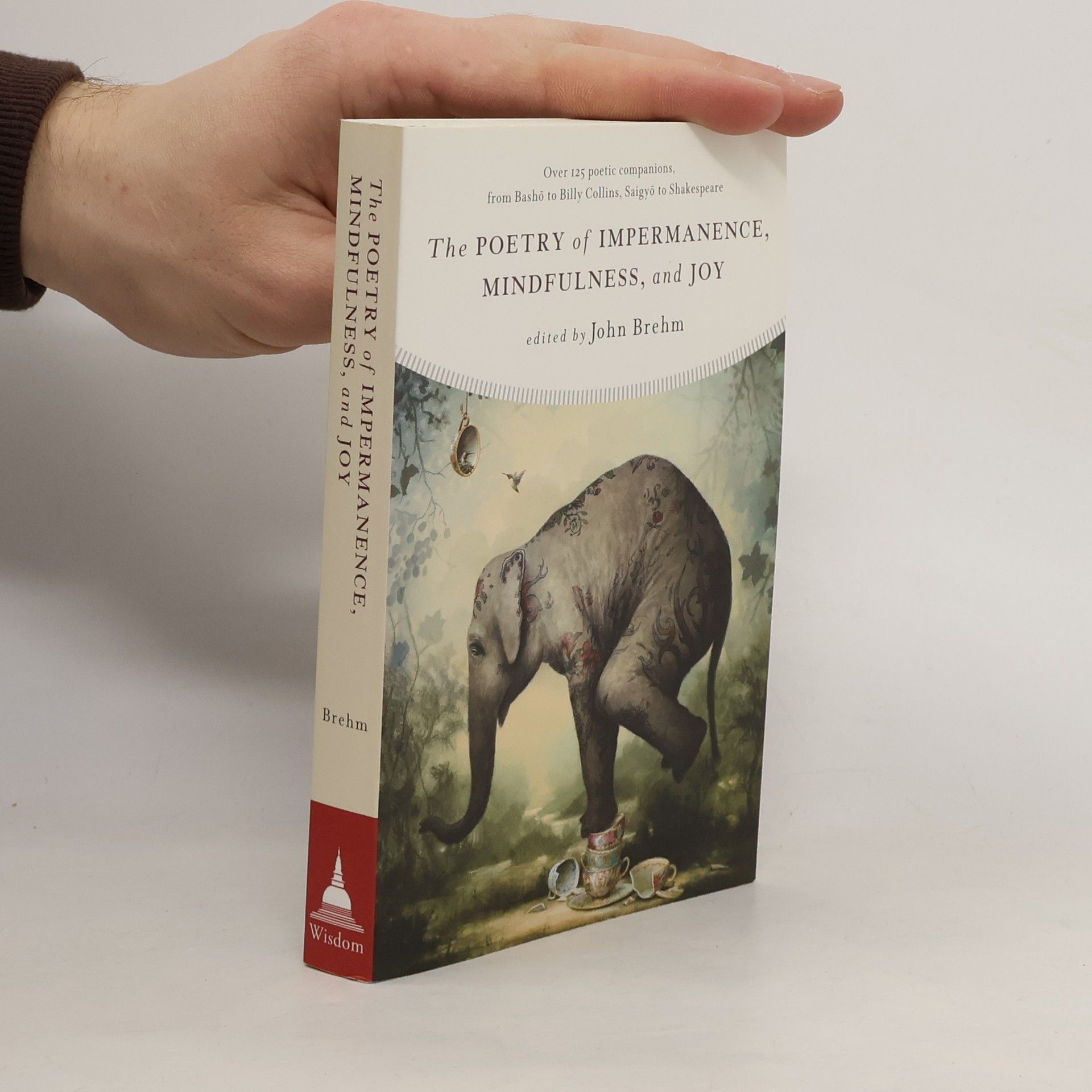 John Brehm The Poetry of Impermanence, Mindfulness, and Joy