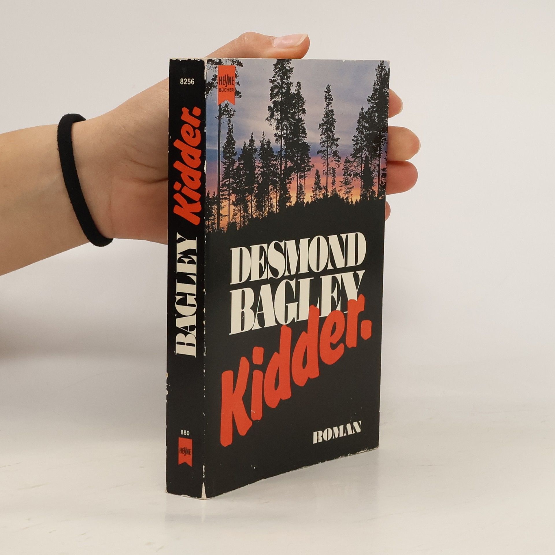 Desmond Bagley Kidder. Roman